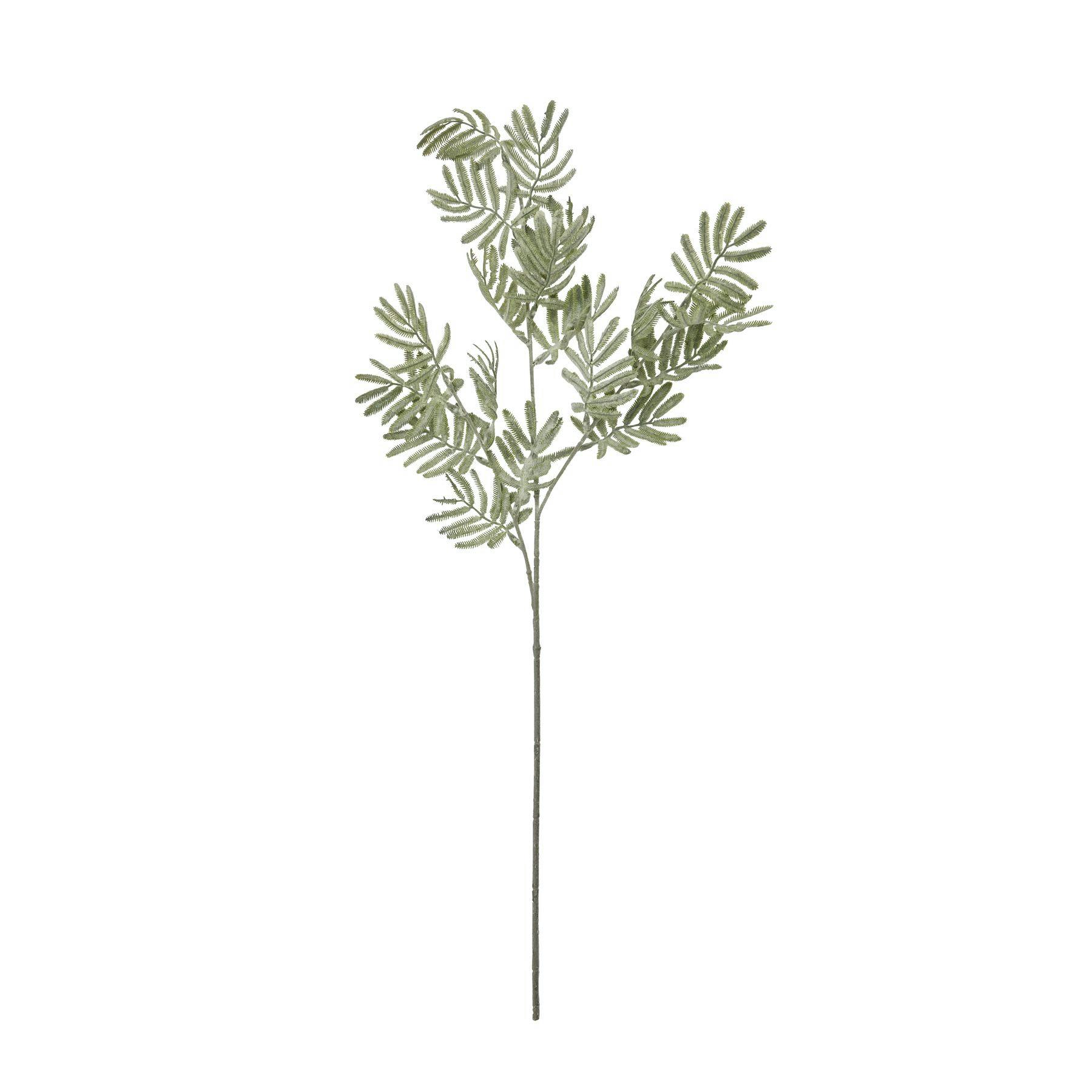 Hill Interiors Wattle Leaf Artificial Flower - Green - Image 2