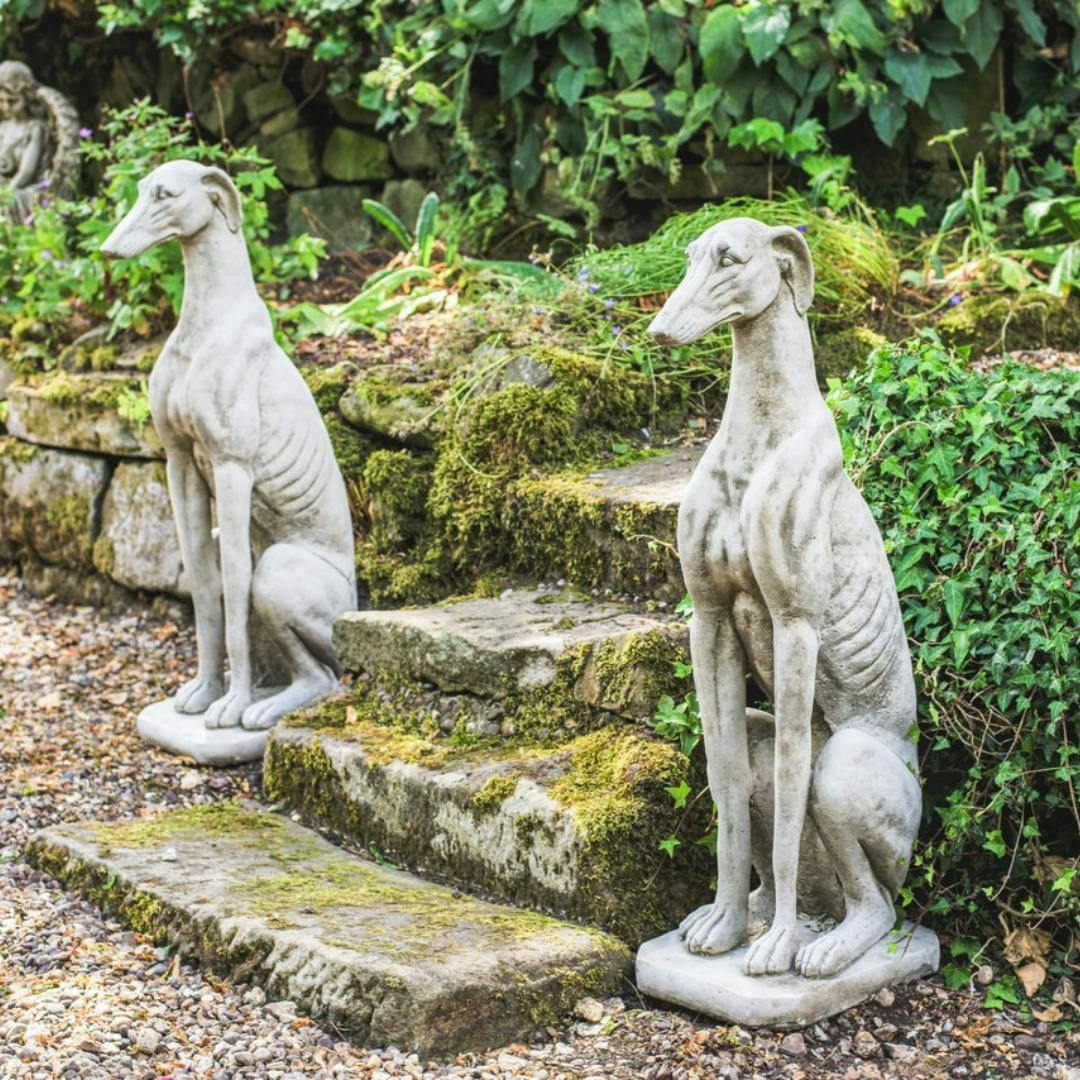 Osn Stunning Pair Of Large Sitting Greyhounds Statues