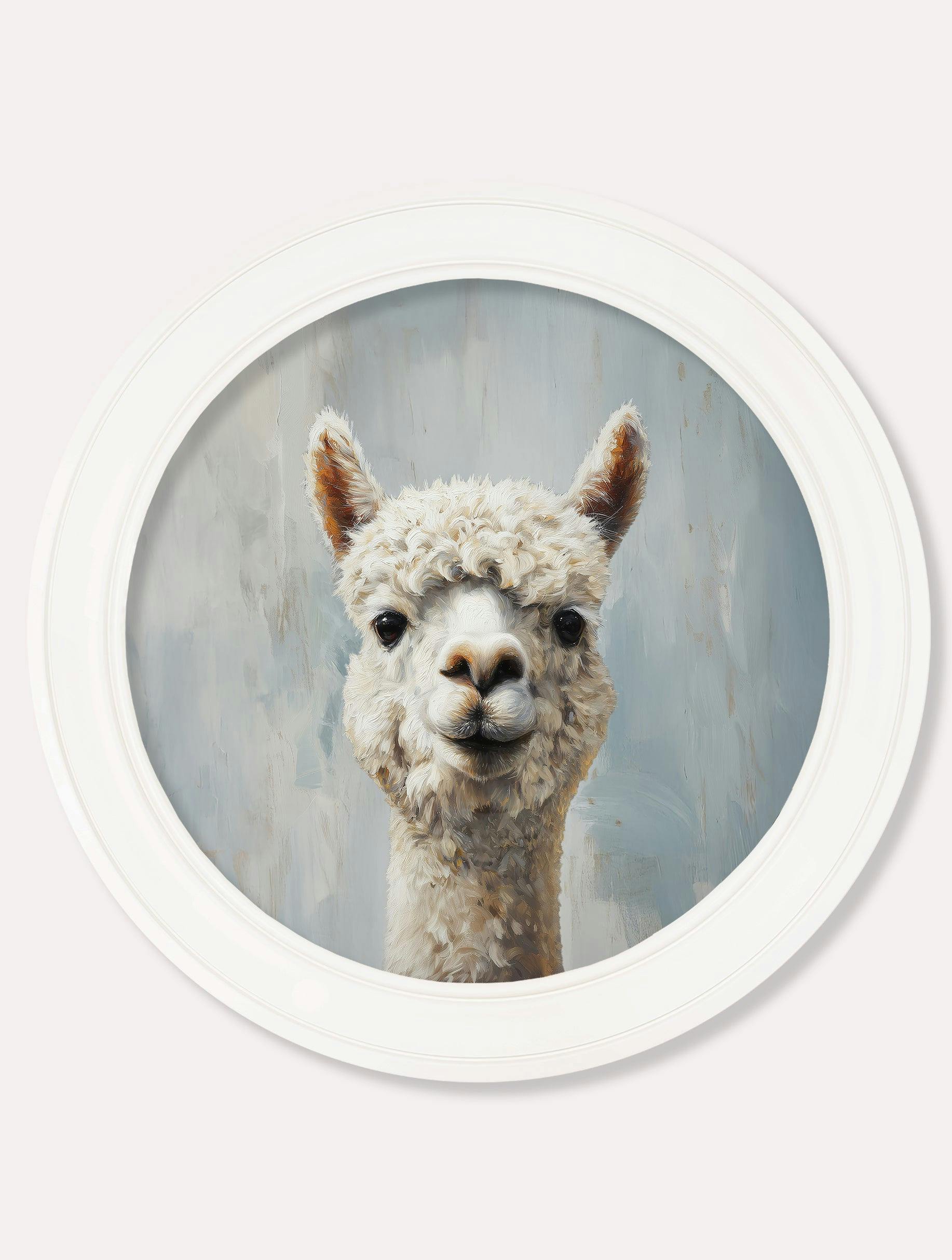 Rackhams White The Goofy Alpaca - Oxford Strong Round Frame - The Goofy Alpaca - 70 X 70Cm