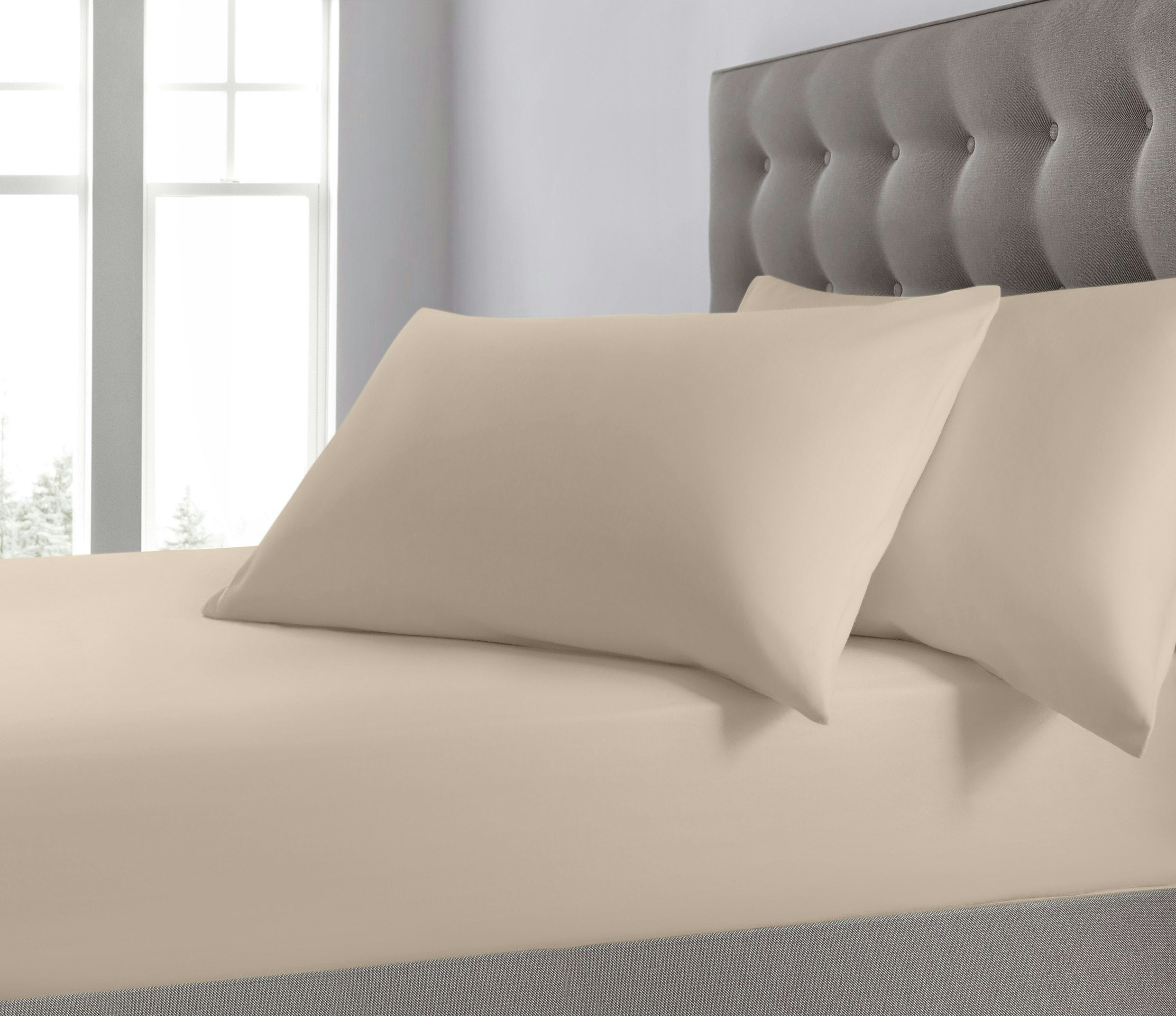 Velosso Cream Plain Dyed Cotton Blend Fitted Sheet - Super King