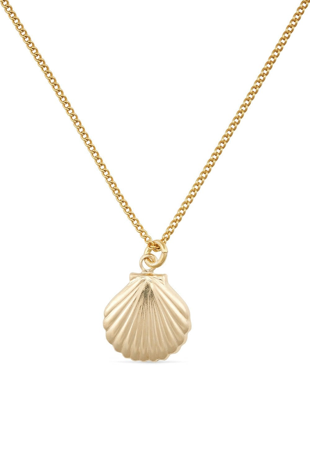 Elk & Bloom Gold Large Dainty 18K Shell Clam Necklace - 44Cm Full Necklace - No Thank You