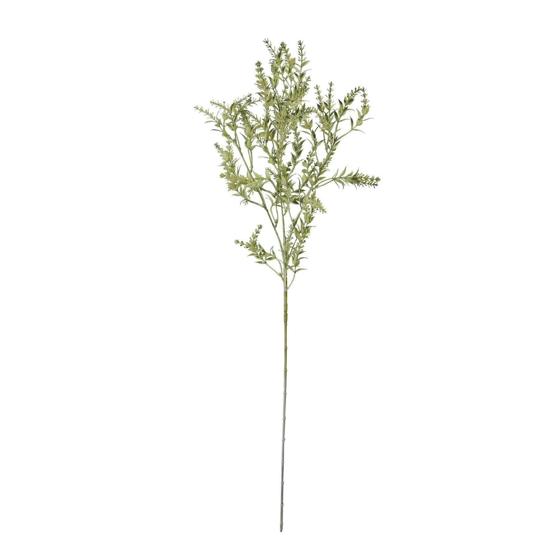 Hill Interiors Unisex Green Broom Artificial Flower In - Image 4