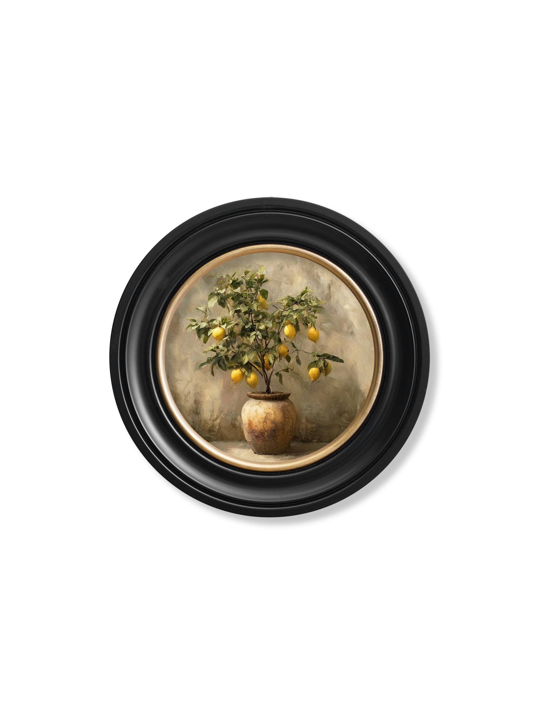 Rackhams Black/Gold/Yellow Mediterranean Lemon Tree - Oxford Round Frame - Mediterranean Lemon Tree - 44 X 44 Cm