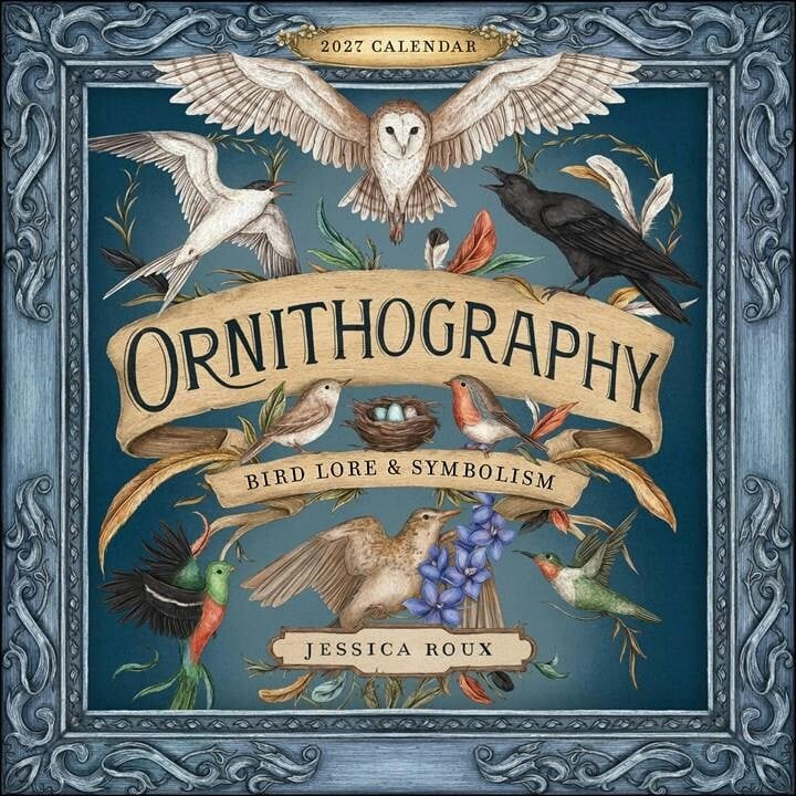Ornithography 2027 Wall Calendar by Jessica Roux CALENDAR - Image 8