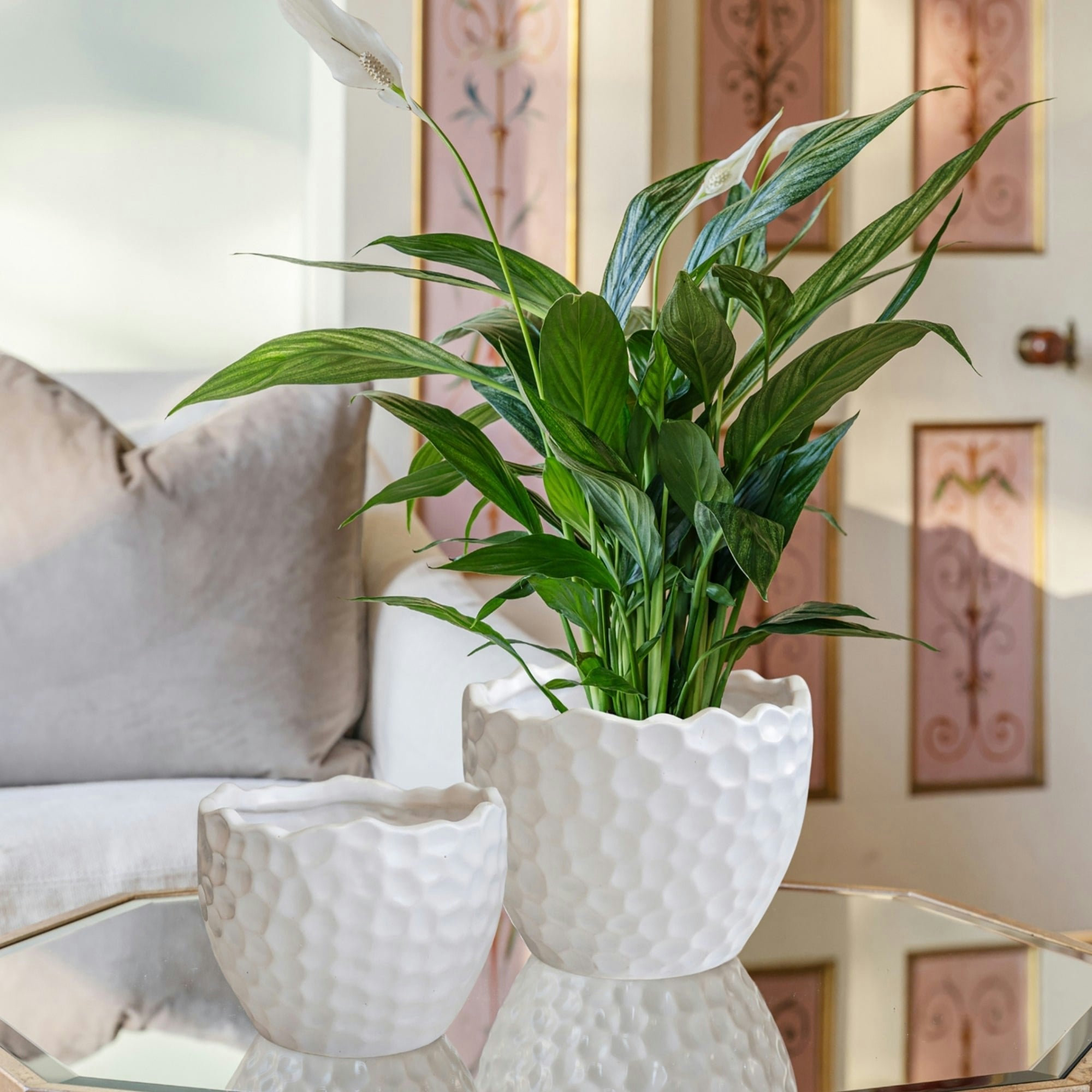 Rackhams White Kew Botanical Textured Planter