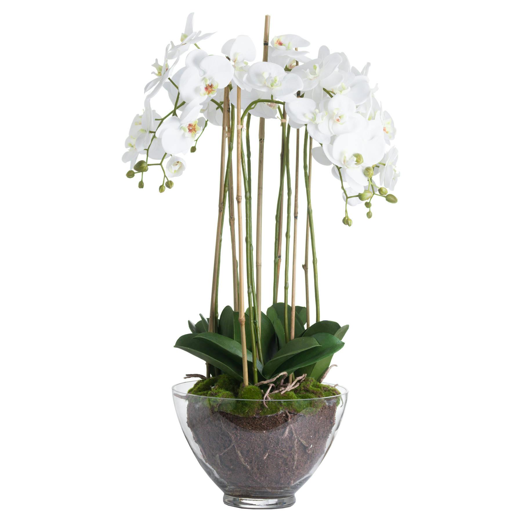 Hill Interiors White Large Orchid In Glass Pot - One Size - 100% Plastic