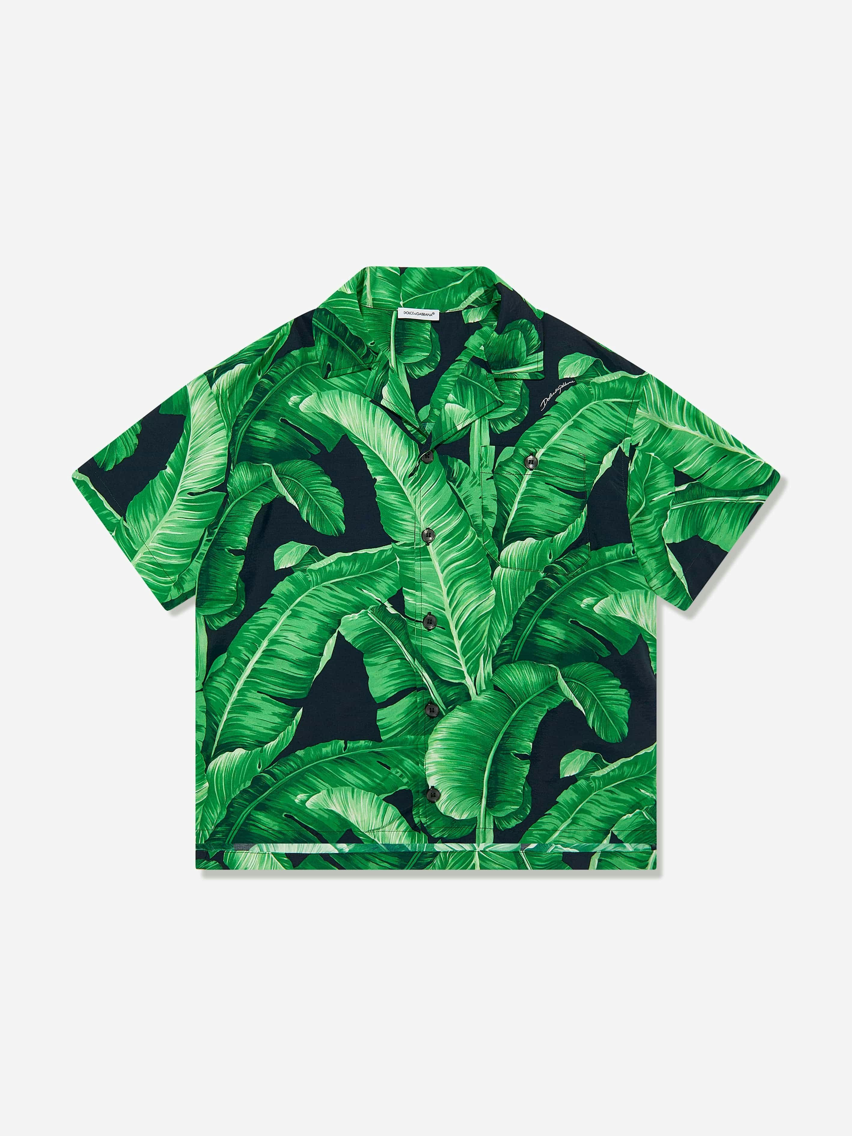 Dolce & Gabbana Kids Boys Green Dolce & Gabbana Banana Leaf Shirt In - 6 Yrs