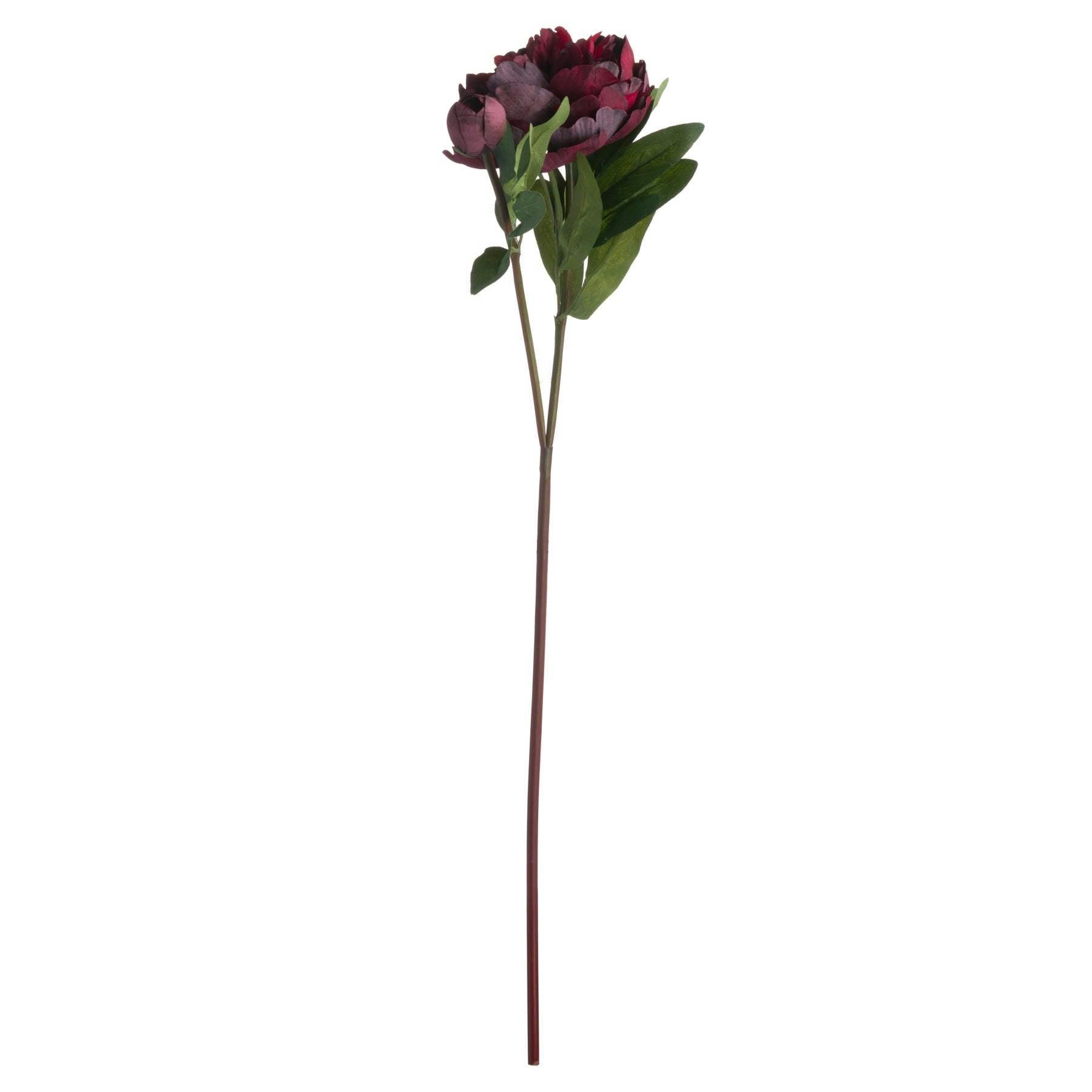 Wyld Haus Burgundy Set Of 3 Artificial Flowers Peony Rose Stems