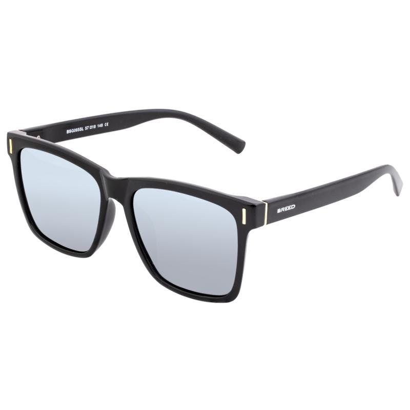 Breed Black/Silver Pictor Polarized Sunglasses
