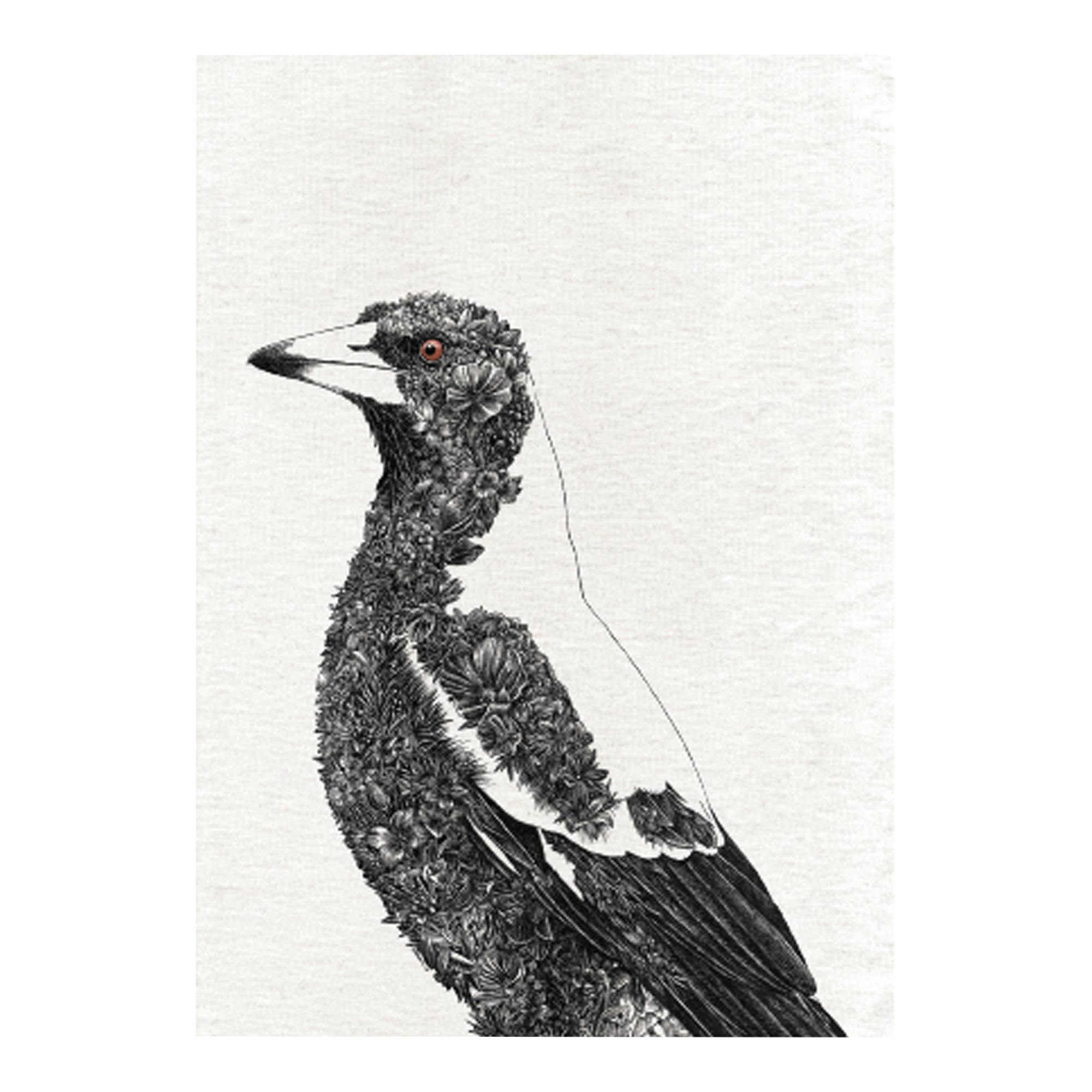 Rackhams White Marini Ferlazzo Australian Magpie Tea Towel - Cotton - Tea Towel