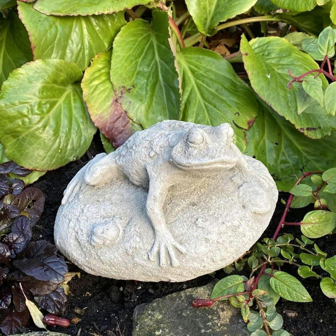 Osn Frog On Rock Small Garden Ornament
