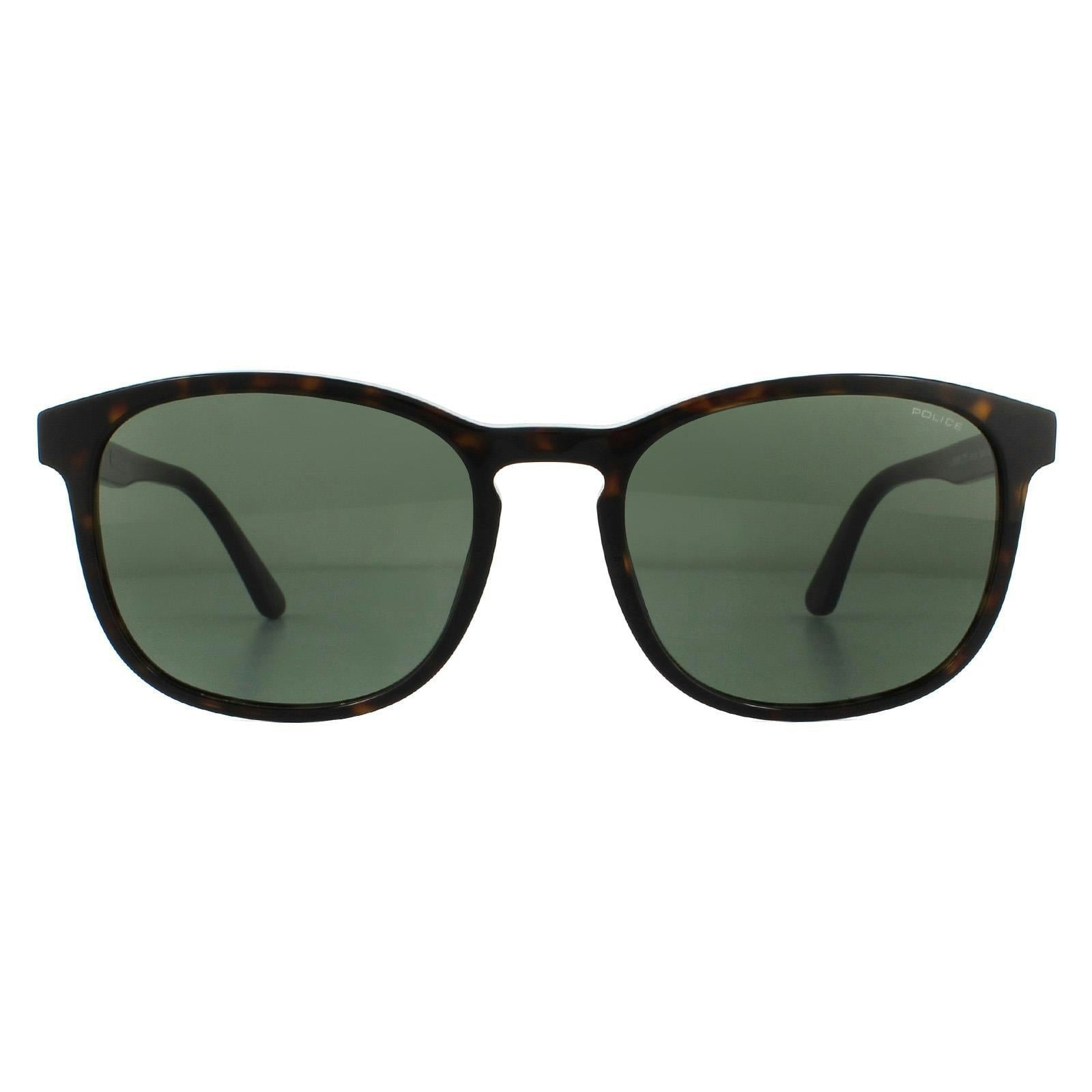 Police Men's Green Spl997 Origins Lite 3 Shiny Havana Sunglasses