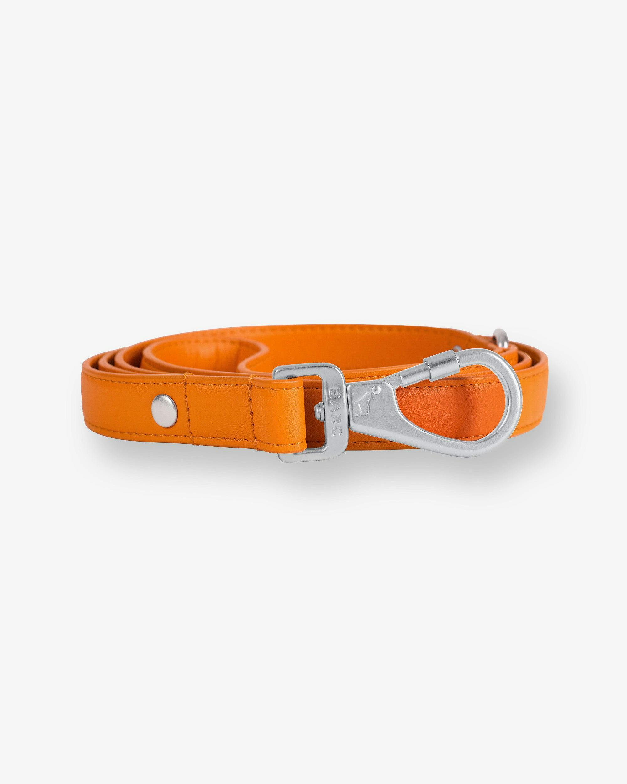 Barc London Orange Mandarin Dog Lead - S