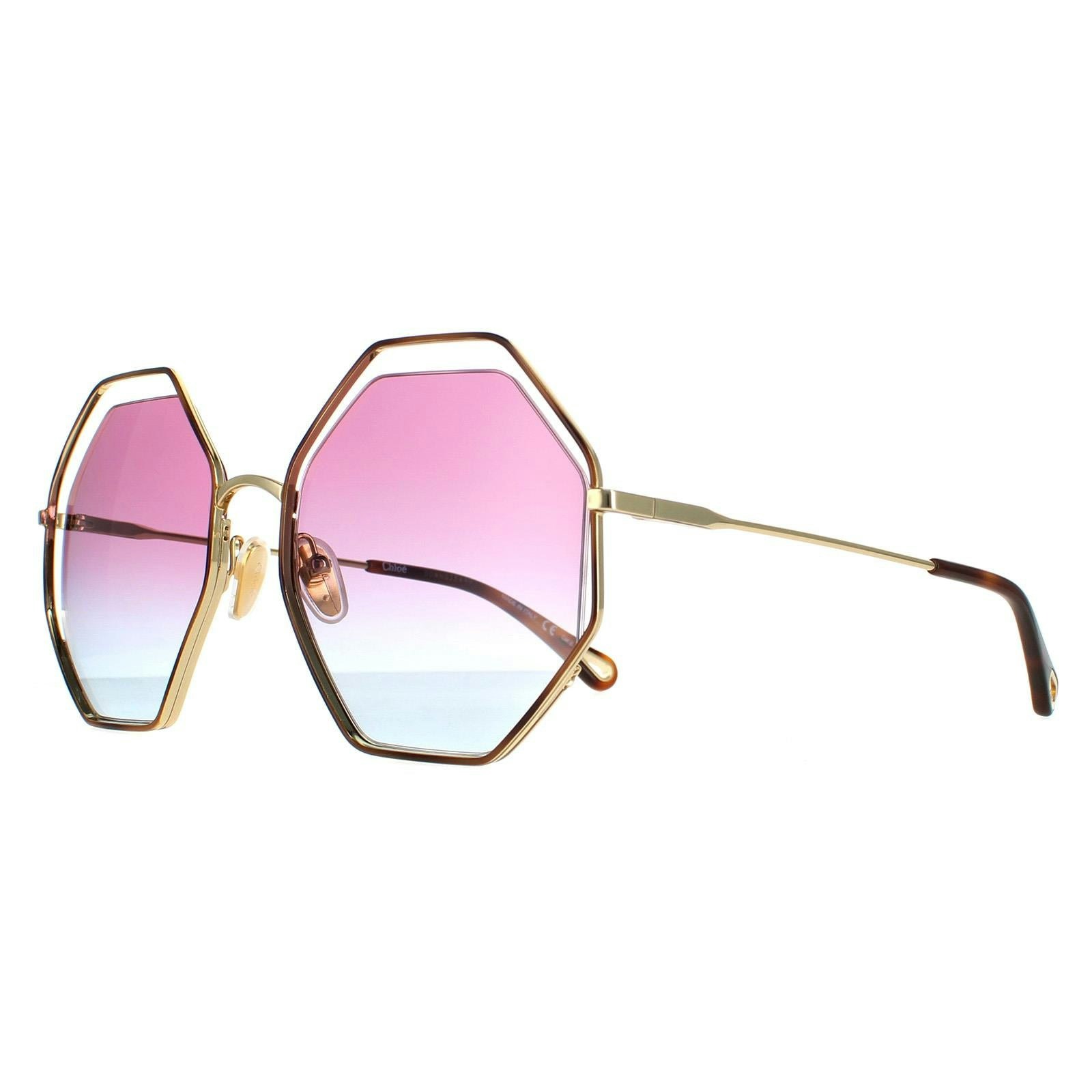 Chloé Women's Gold Chloe Ch0046s Havana Sunglasses