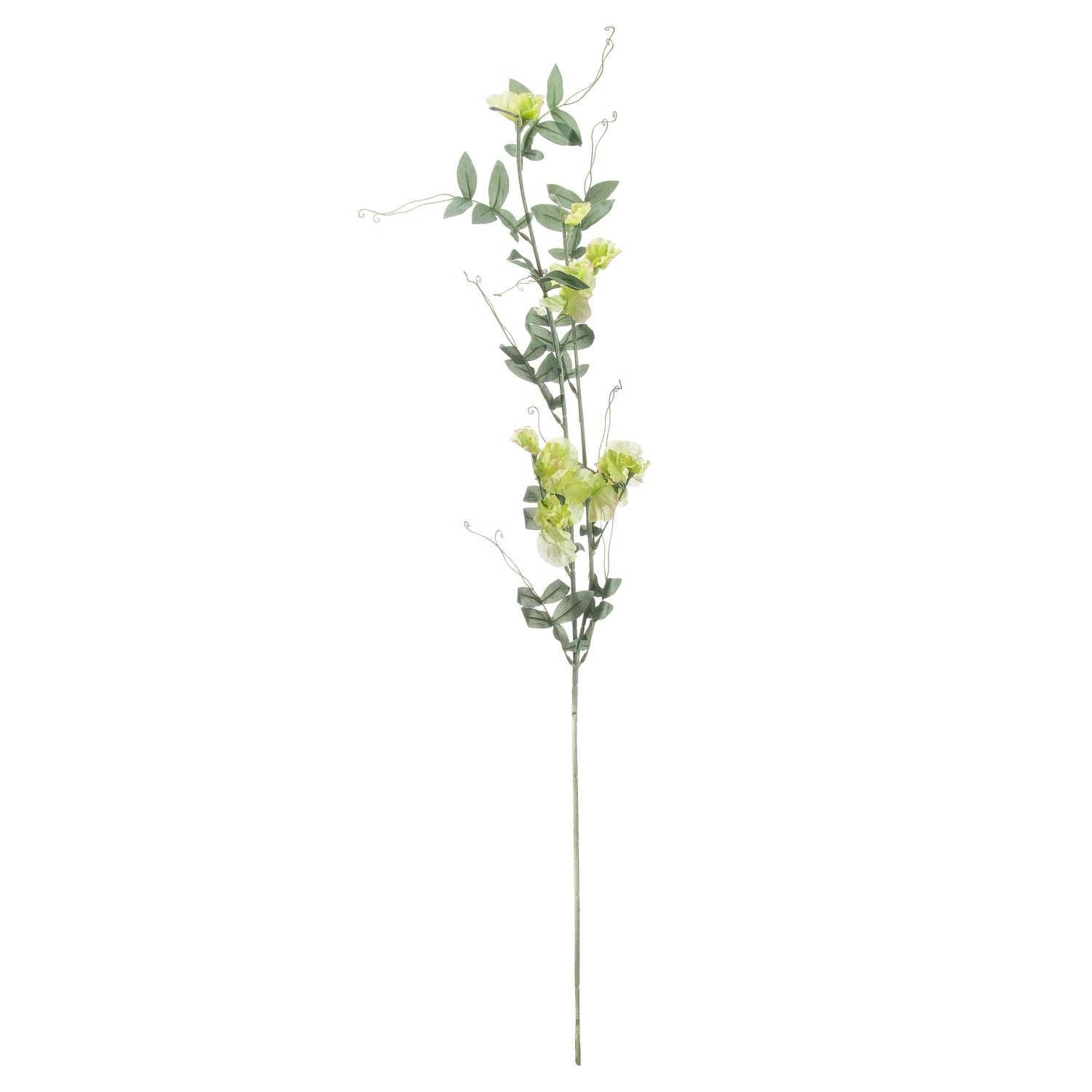 Wyld Haus Green/Ivory Set Of 3 Artificial Flowers Sweet Pea Trail Stems