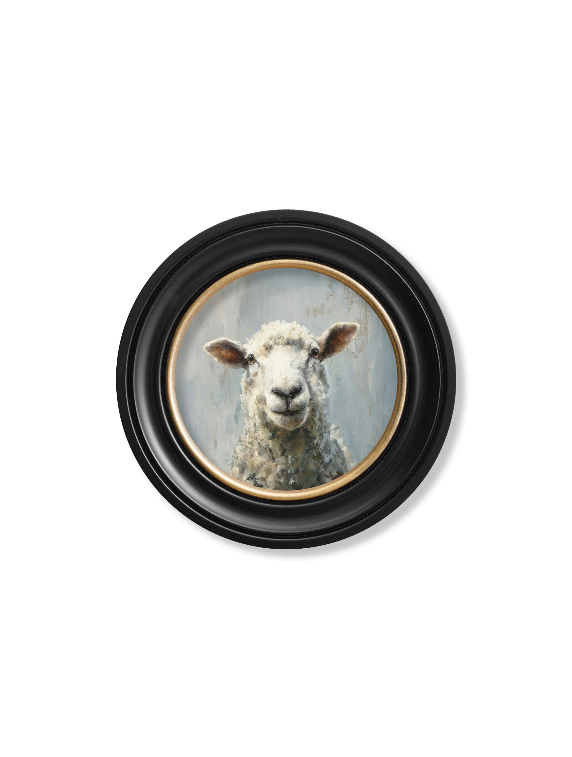 Rackhams Light/Blue/Black The Jolly Sheep - Oxford Round Frame - The Jolly Sheep - 44 X 44 Cm