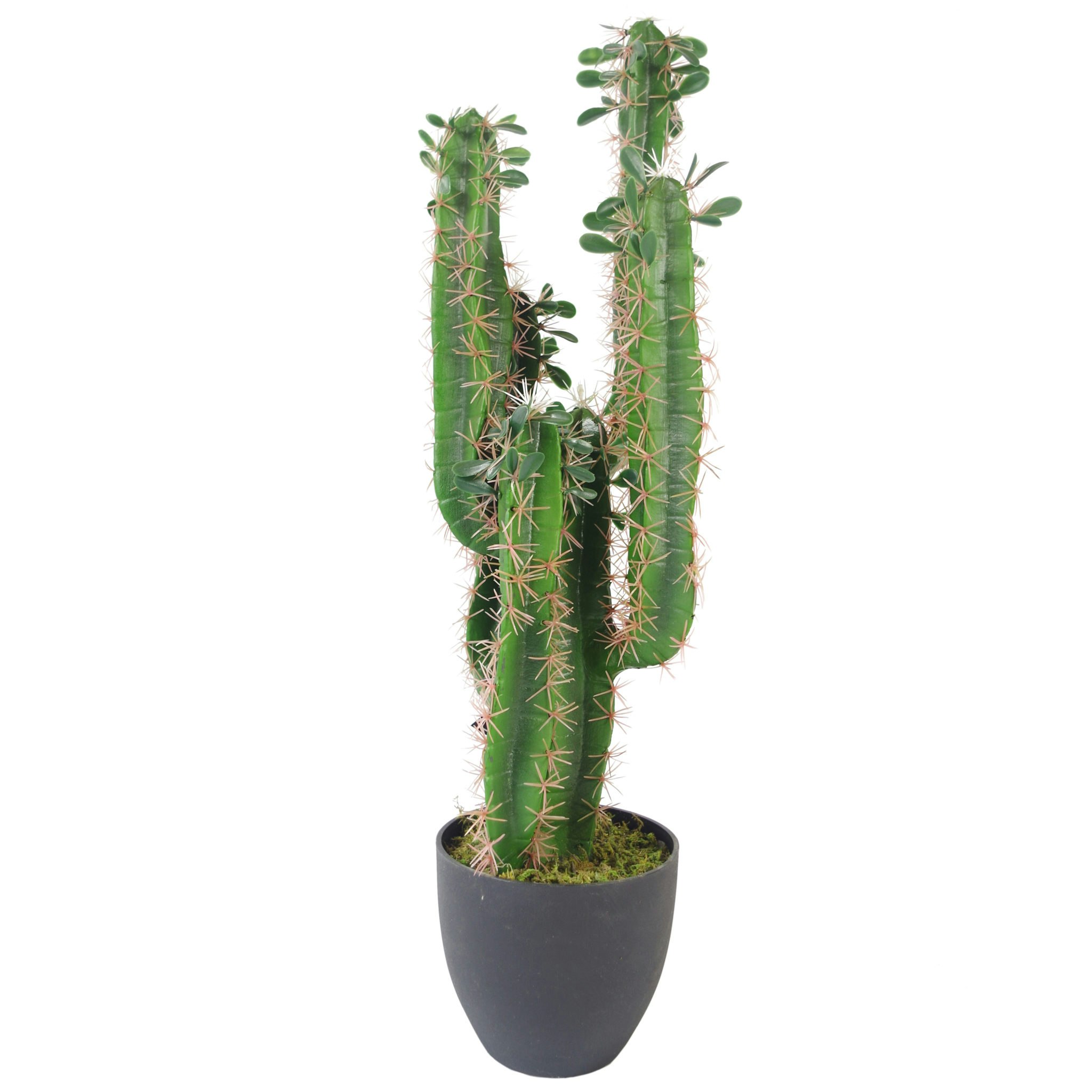 Leaf Green 75Cm Premium Artificial Cactus With Pot - 75Cm - 75Cm