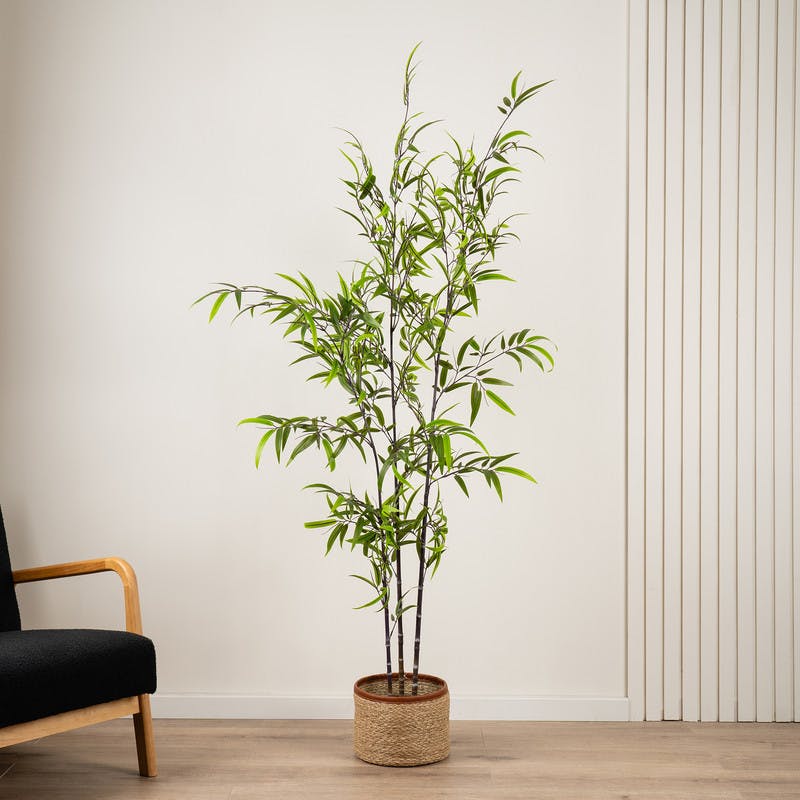 Scottish Everlastings Green/Black 190Cm Real Touch Kd Bamboo Tree