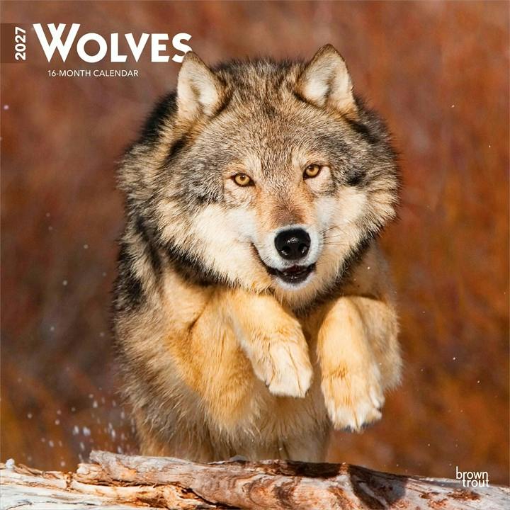 Wolves 2027 Square Flap by Browntrout (Calendar) - Image 6