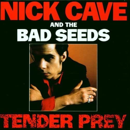 Tender Prey - Image 5