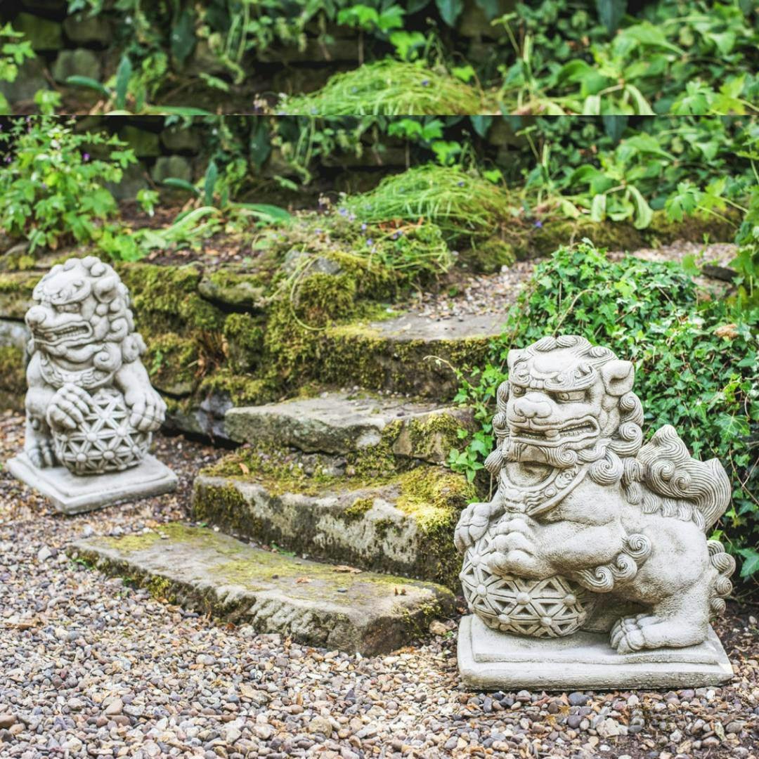 Osn Stunning Pair Of Large Foo Dogs Statues