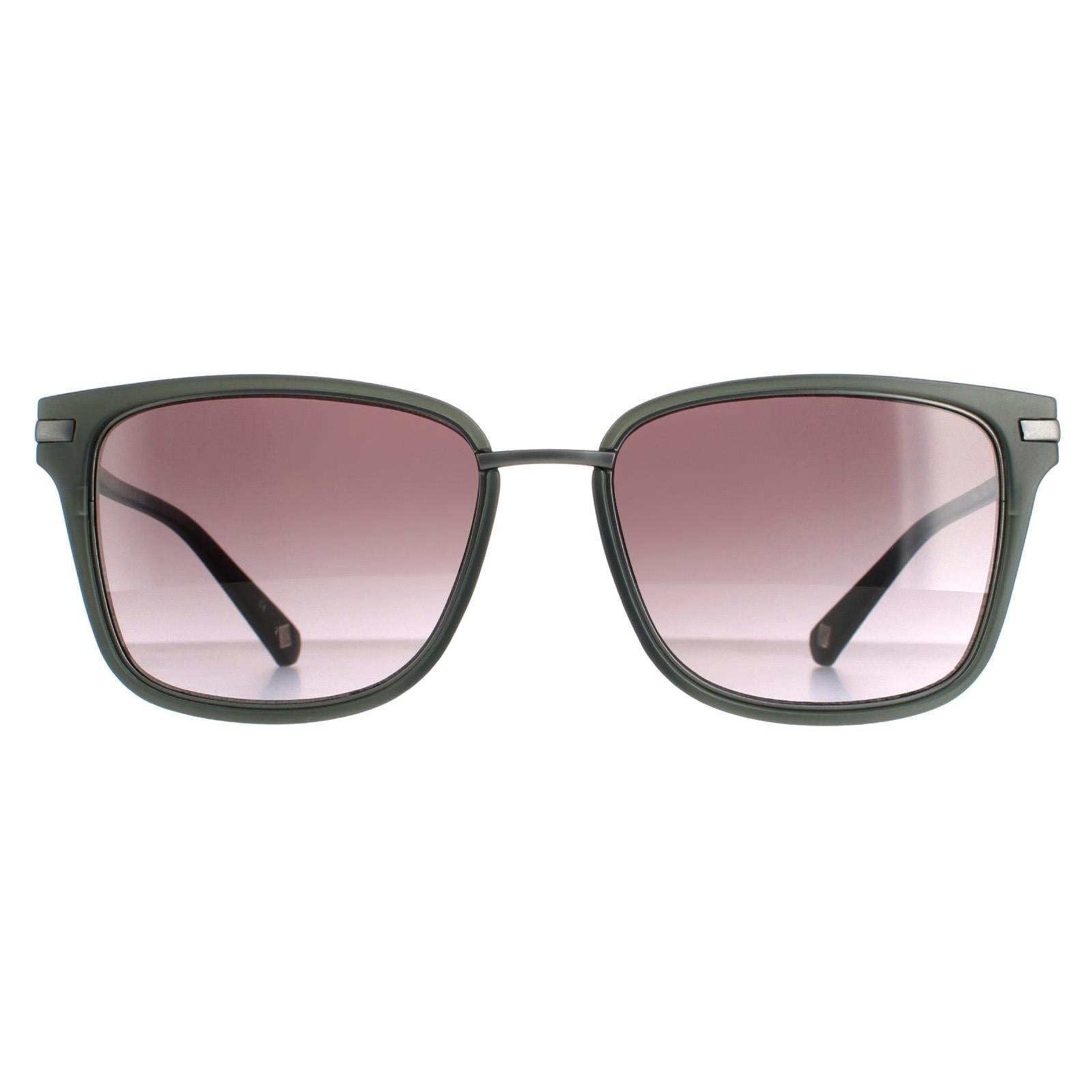 Ted Baker Unisex Grey Tb1620 Mata Sunglasses