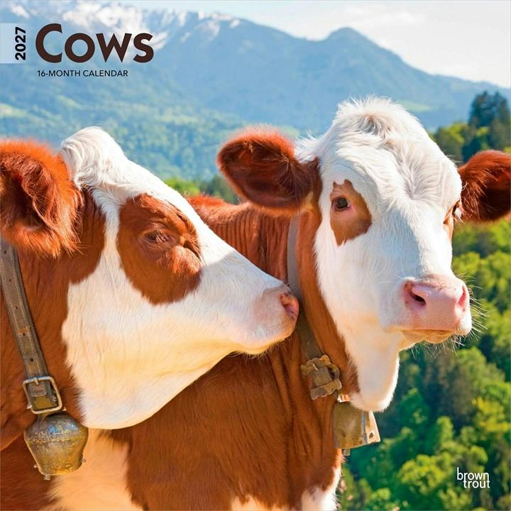 Cows Calendar 2027, Wall Calendars, Month To View, Animals, Gift - Image 6