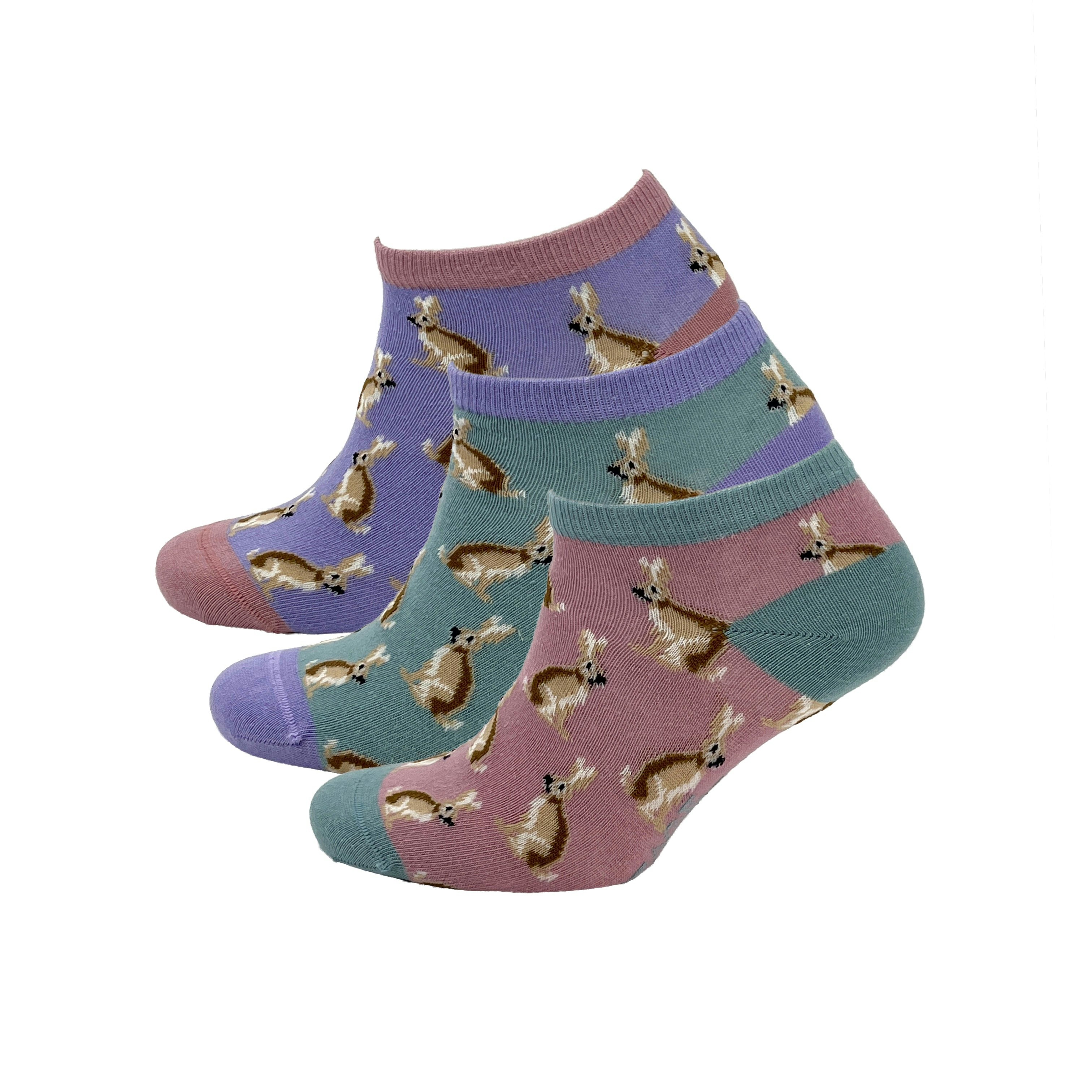 Heritage Traditions Women's Heritage 3 Pack Trainer Socks - Heritage Hare