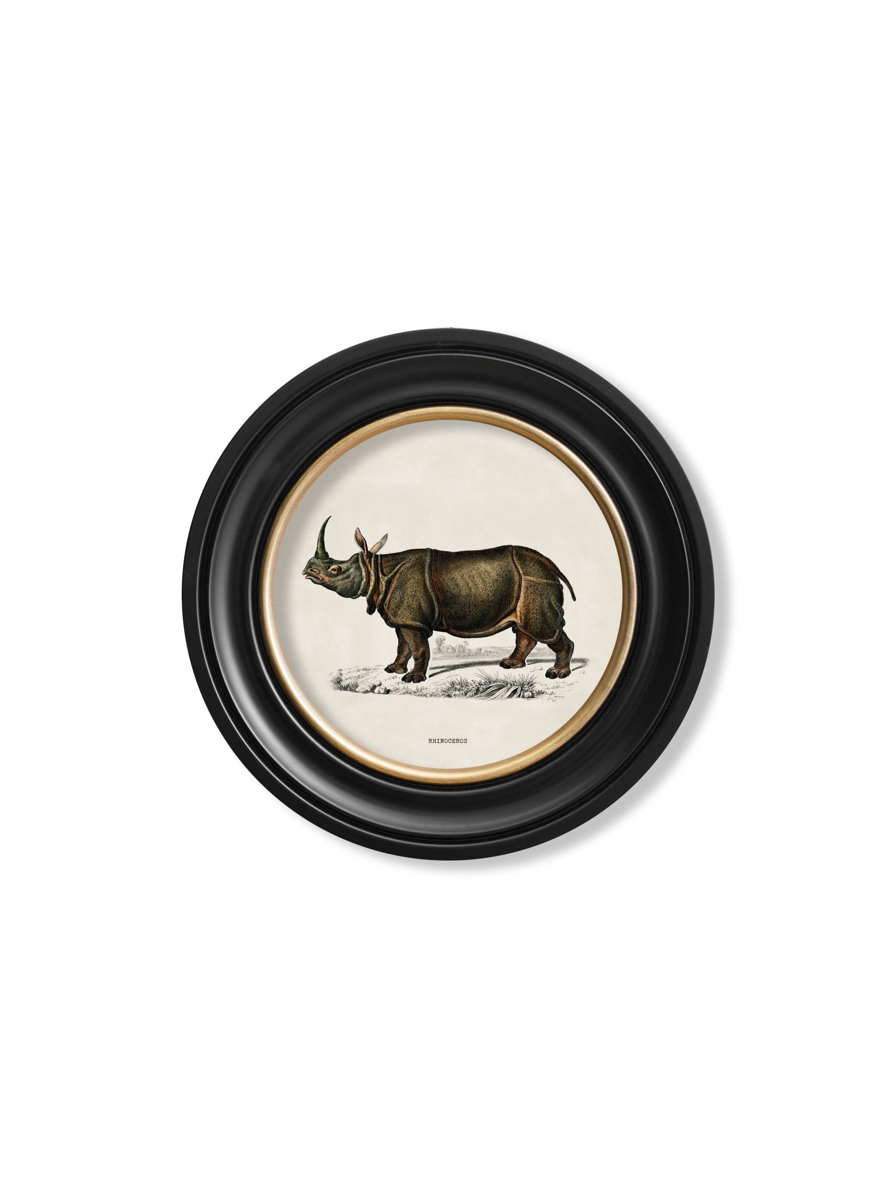 Rackhams Black C.1846 Rhino & Hippo - Round Frames - 44 X 44Cm - Rhino