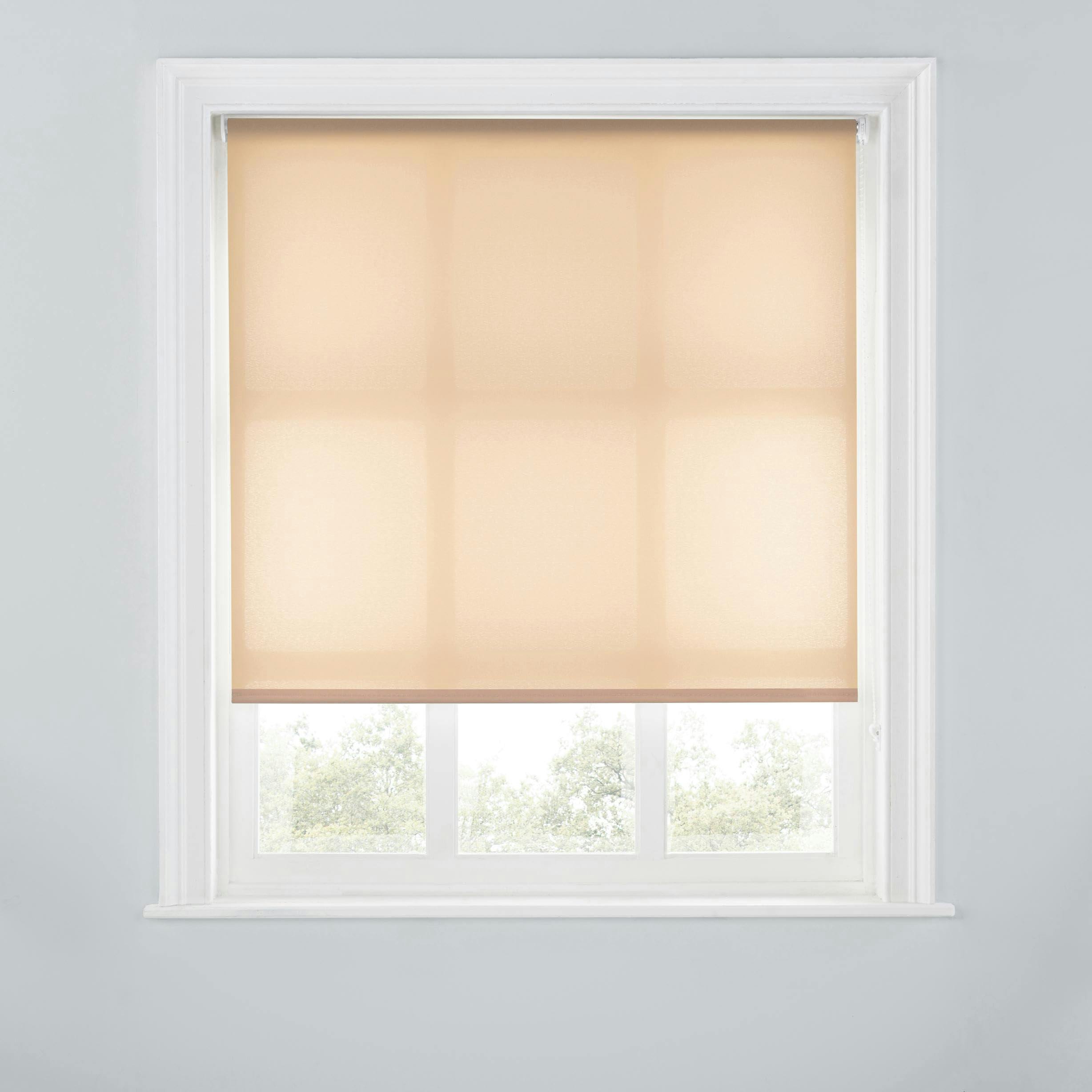 A.unique Home Light Trimmable Day Roller Blind - 3Ft - Mocha - 90Cm(W) X 170Cm(L)