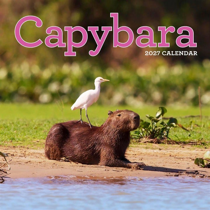 Capybara Calendar 2027 - Image 5
