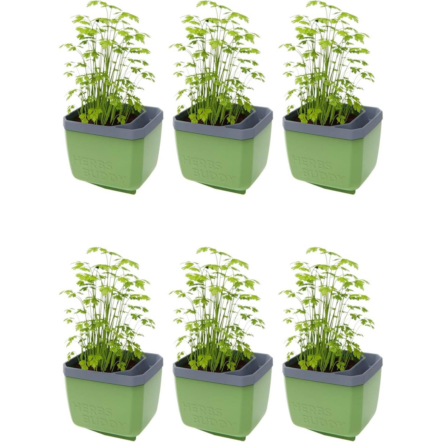 Gusta Garden Dark/Green Herbs Buddy Herb Pot With Water Reservoir - 6 Pcs