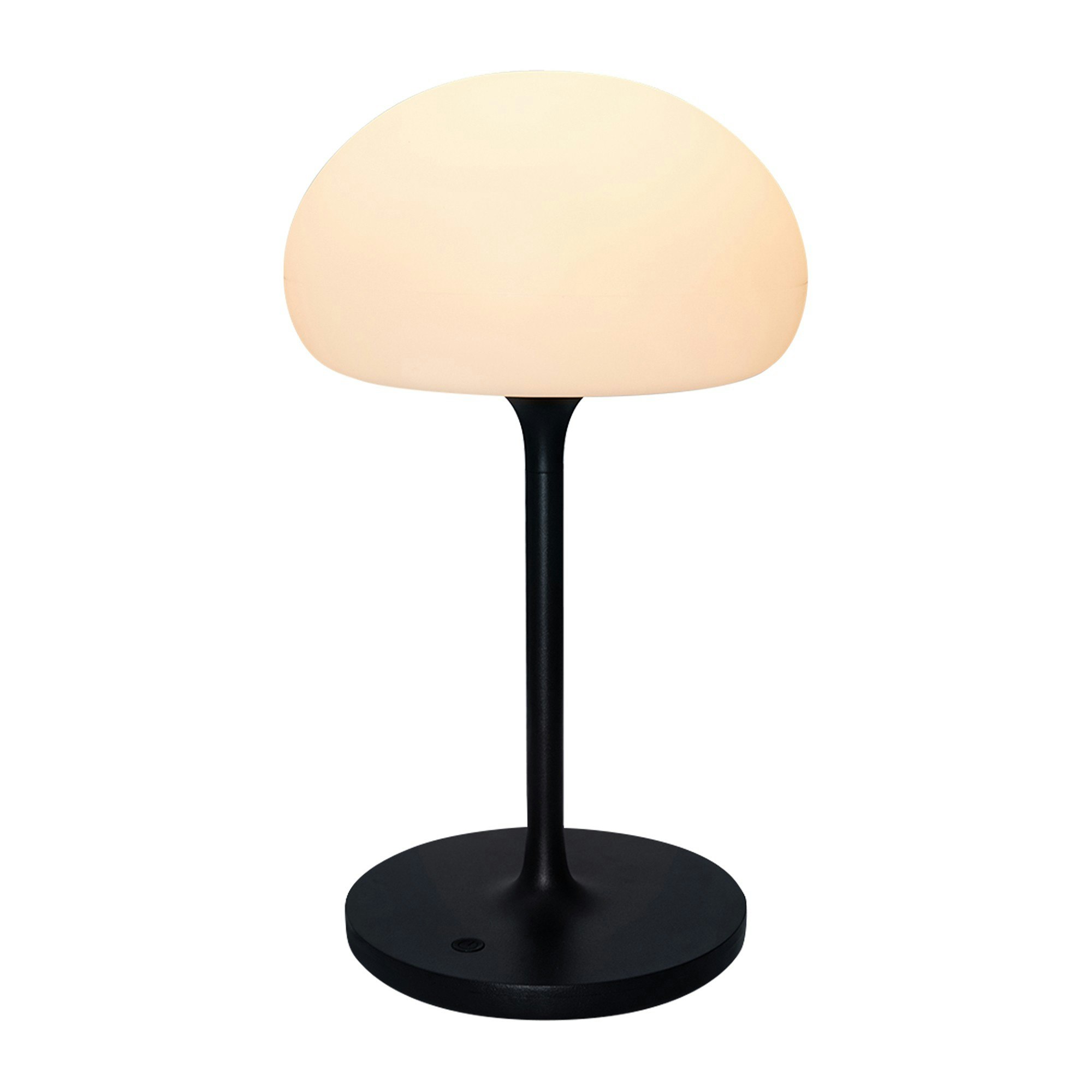 Rackhams Light/Black Sponge On A Stick | Battery | - 1