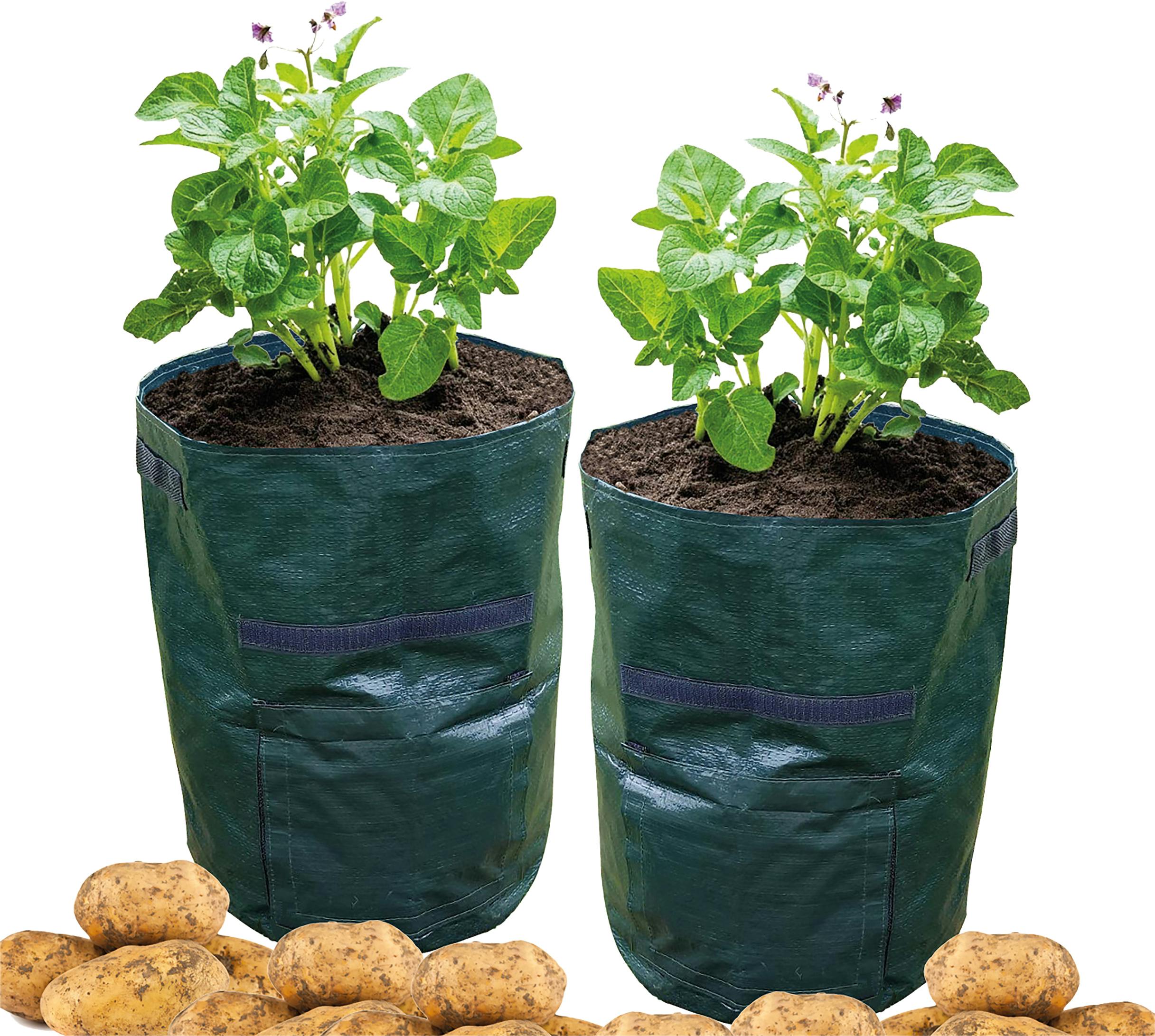 St Helens Home And Garden Potato Grow Bag - Pack Of 2