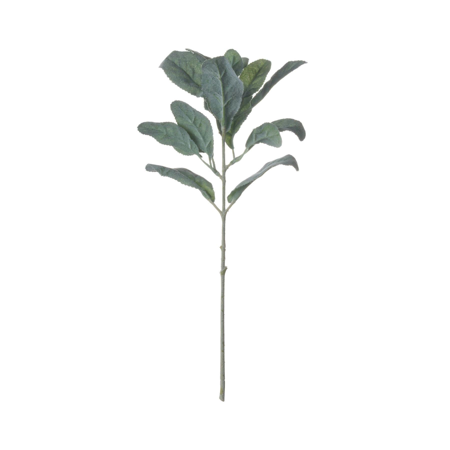 Hill Interiors Unisex Green Artificial Lambs Ear Single Stem In - Image 2