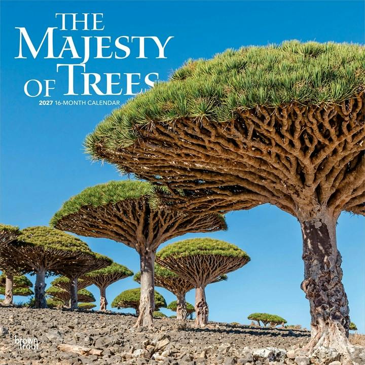 The Majesty of Trees 2027 12 X 24 Inch (Hanging) Monthly Square Wall Calendar Plastic-Free: Original BrownTrout-Kalender [Mehrsprachig] [Kalender] - Image 5