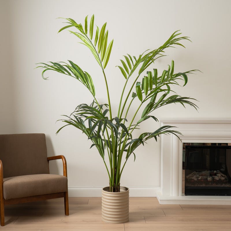Scottish Everlastings 190Cm Real Touch Palm Tree