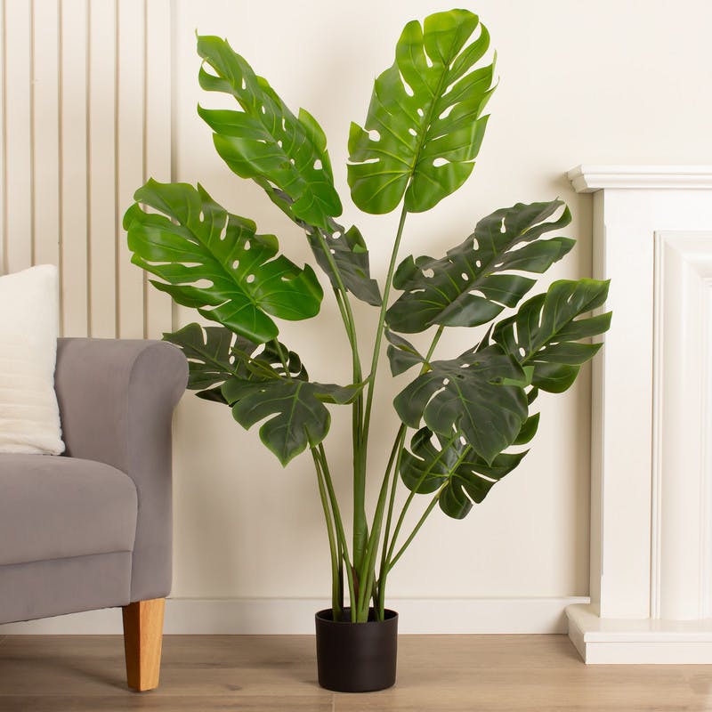 Scottish Everlastings Green 120Cm Real Touch Monstera/Cheese Plant