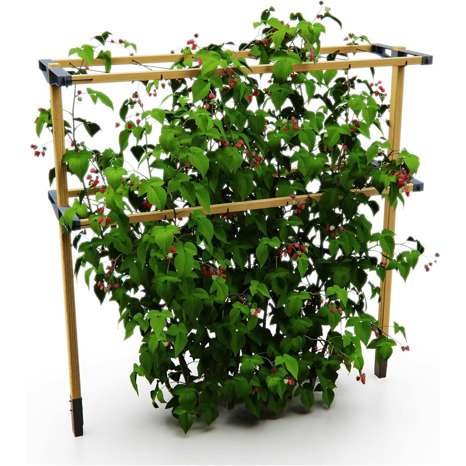 Rackhams Berry Buddy Climbing Solution For Berries - 360 Cm