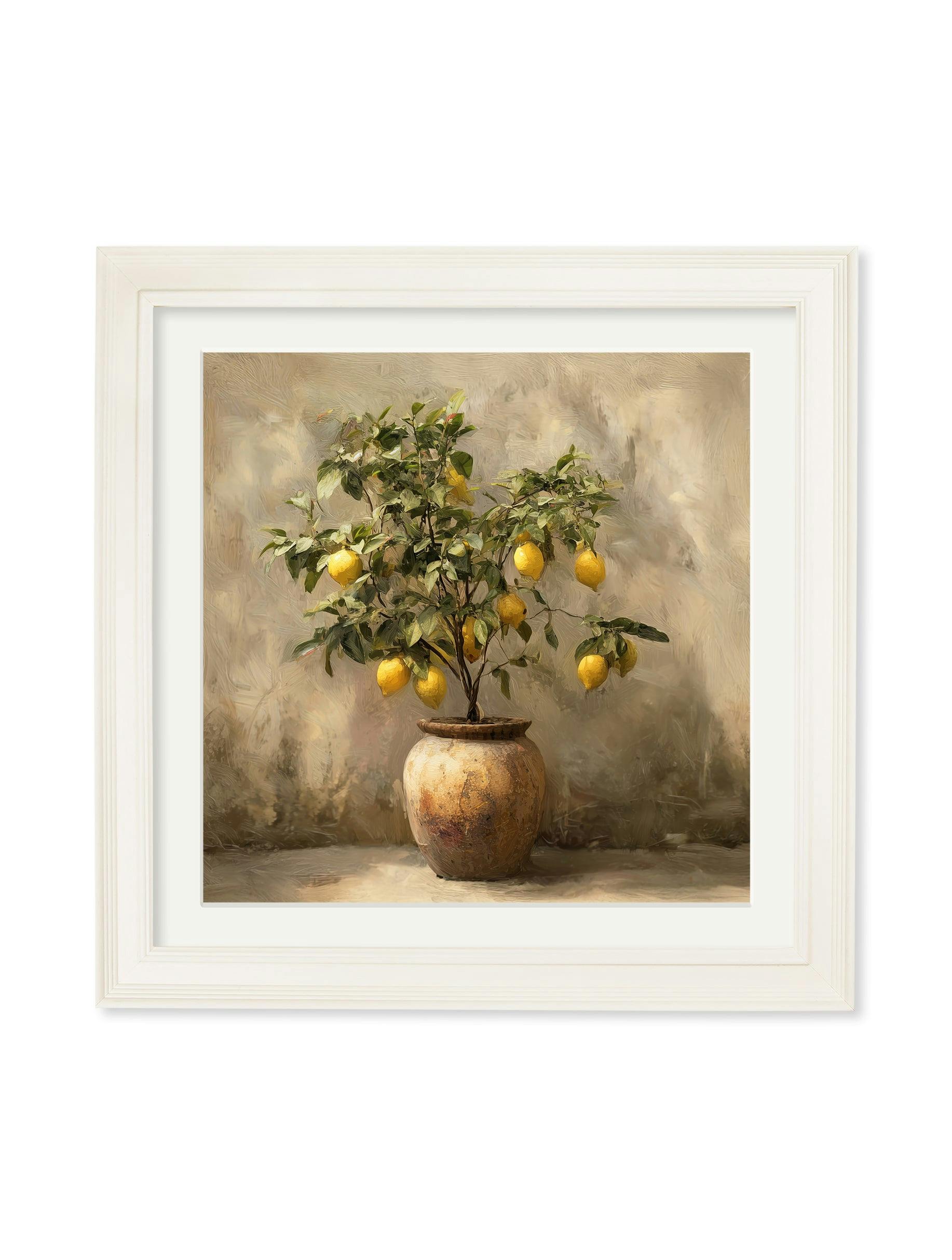 Rackhams Cream Mediterranean Lemon Tree - Hurstwood Square Frame - Mediterranean Lemon Tree - 70 X 70Cm