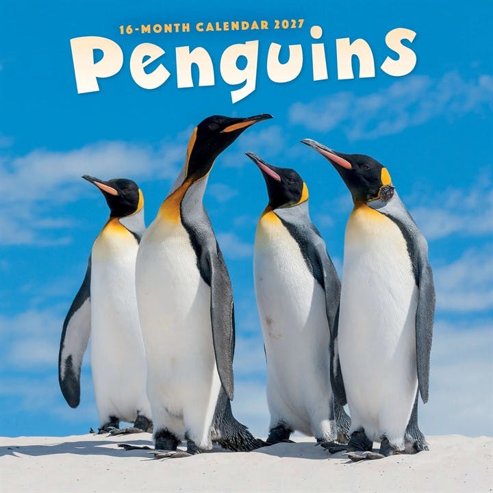 Rackhams Penguins Calendar 2027, Wall Calendars, Month To View, Animals, Gift