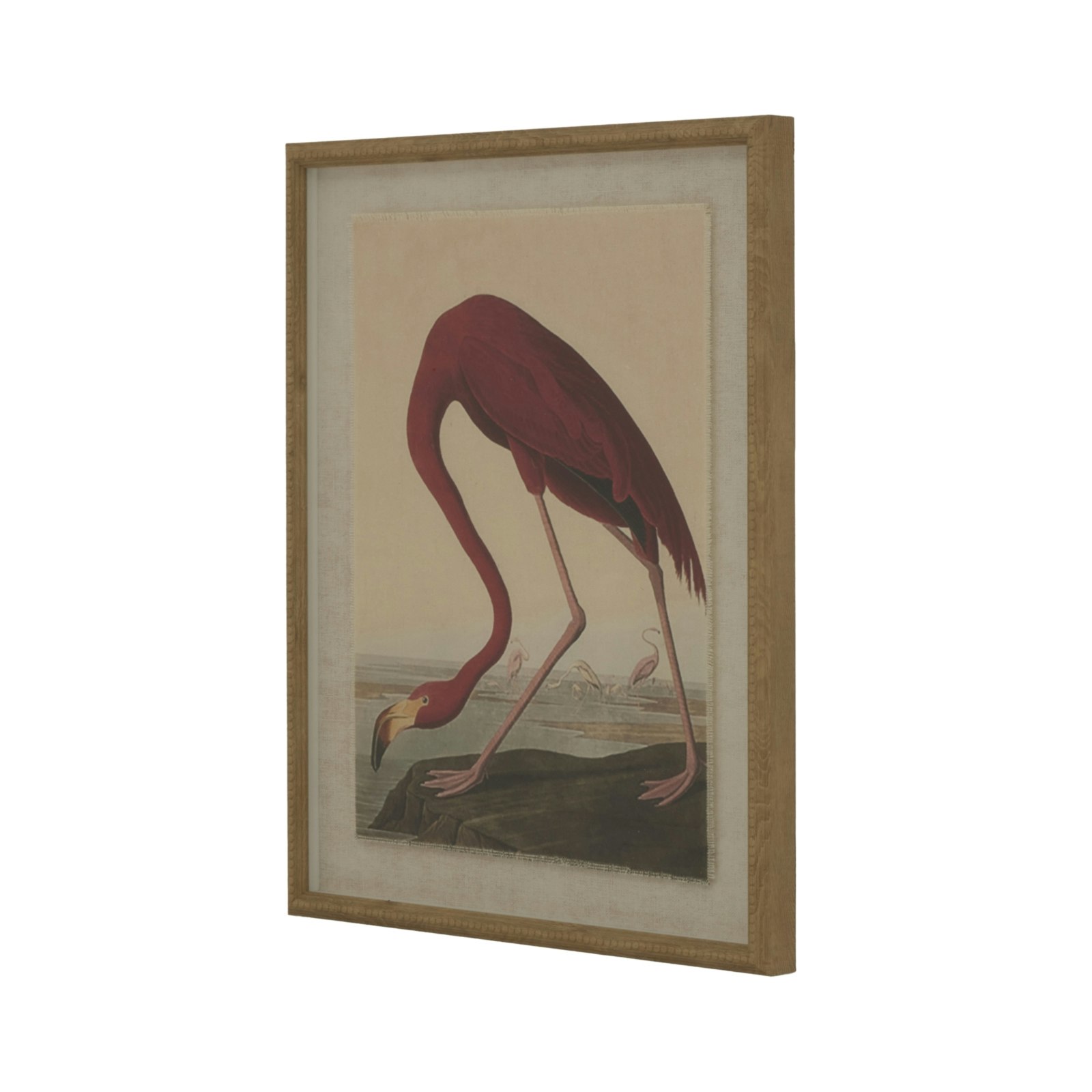 Rackhams Flora & Fauna Collection Flaming Linen Framed Wall Art - Multicoloured - Multicoloured - 50Cm X 2Cm X 40Cm
