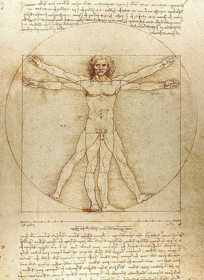 Rackhams Vitruvian Man Notebook - Leonardo Da Vinci - Image 5