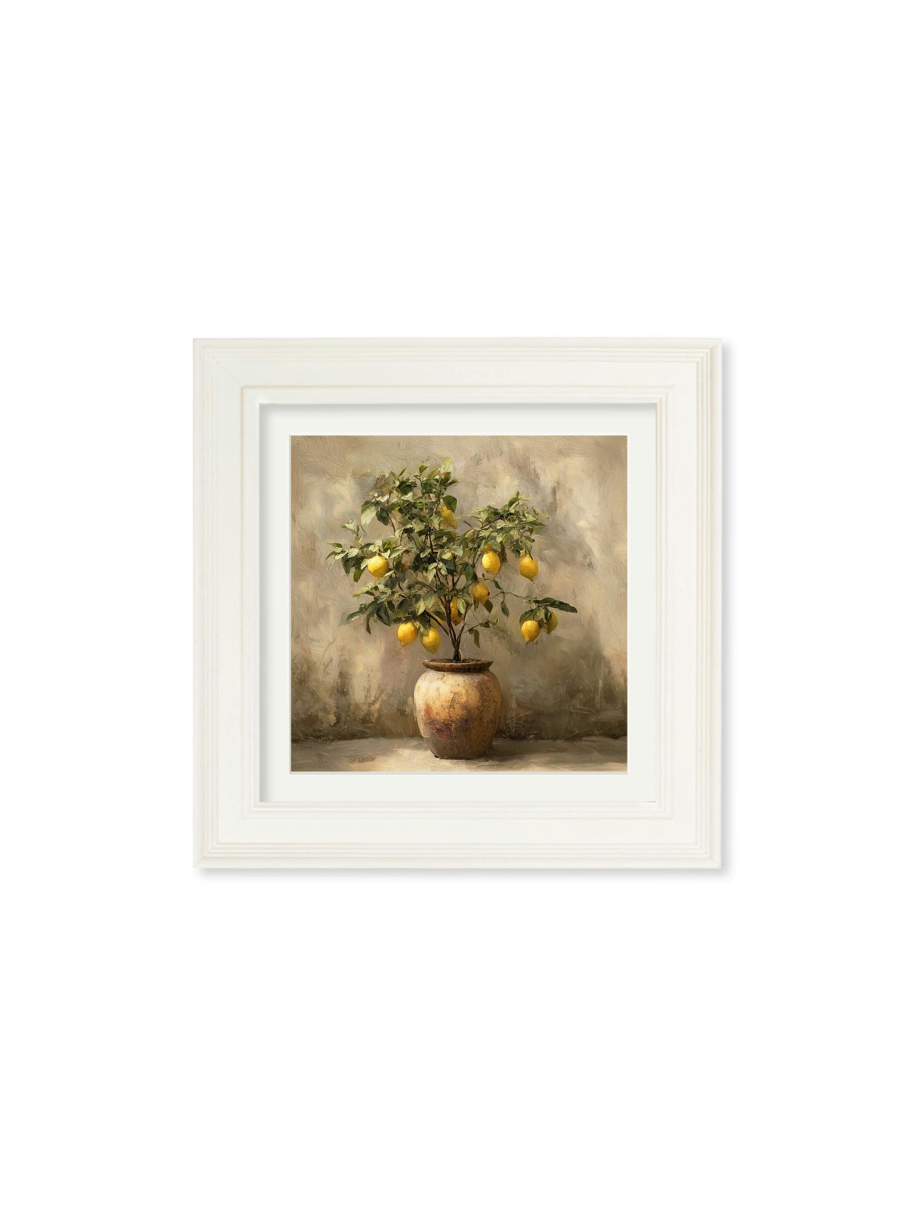 Rackhams Cream Mediterranean Lemon Tree - Hurstwood Square Frame - Mediterranean Lemon Tree - 44 X 44 Cm