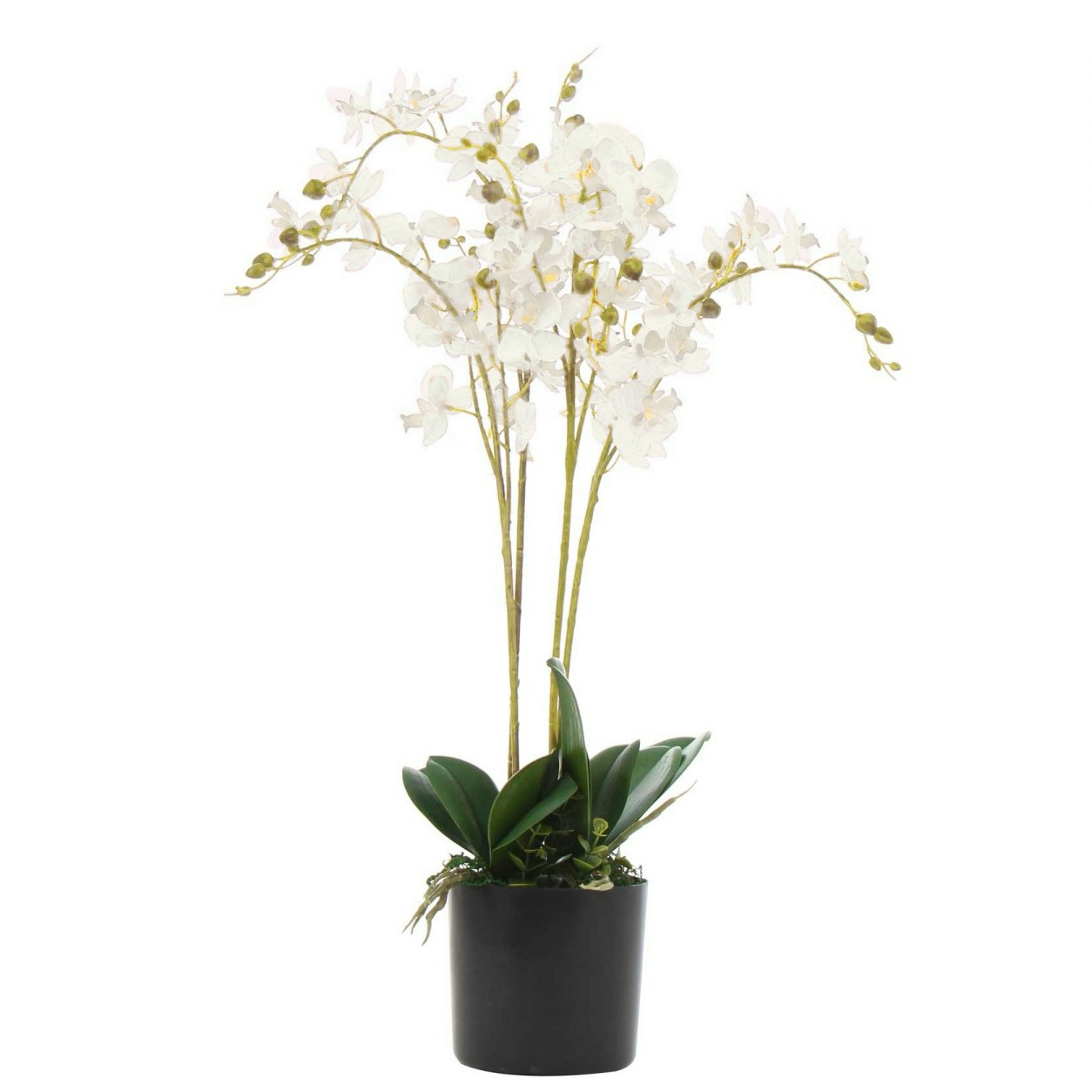 Leaf White Artificial Luxury Orchid - Triple Stem - Realistic Plant - 60Cm