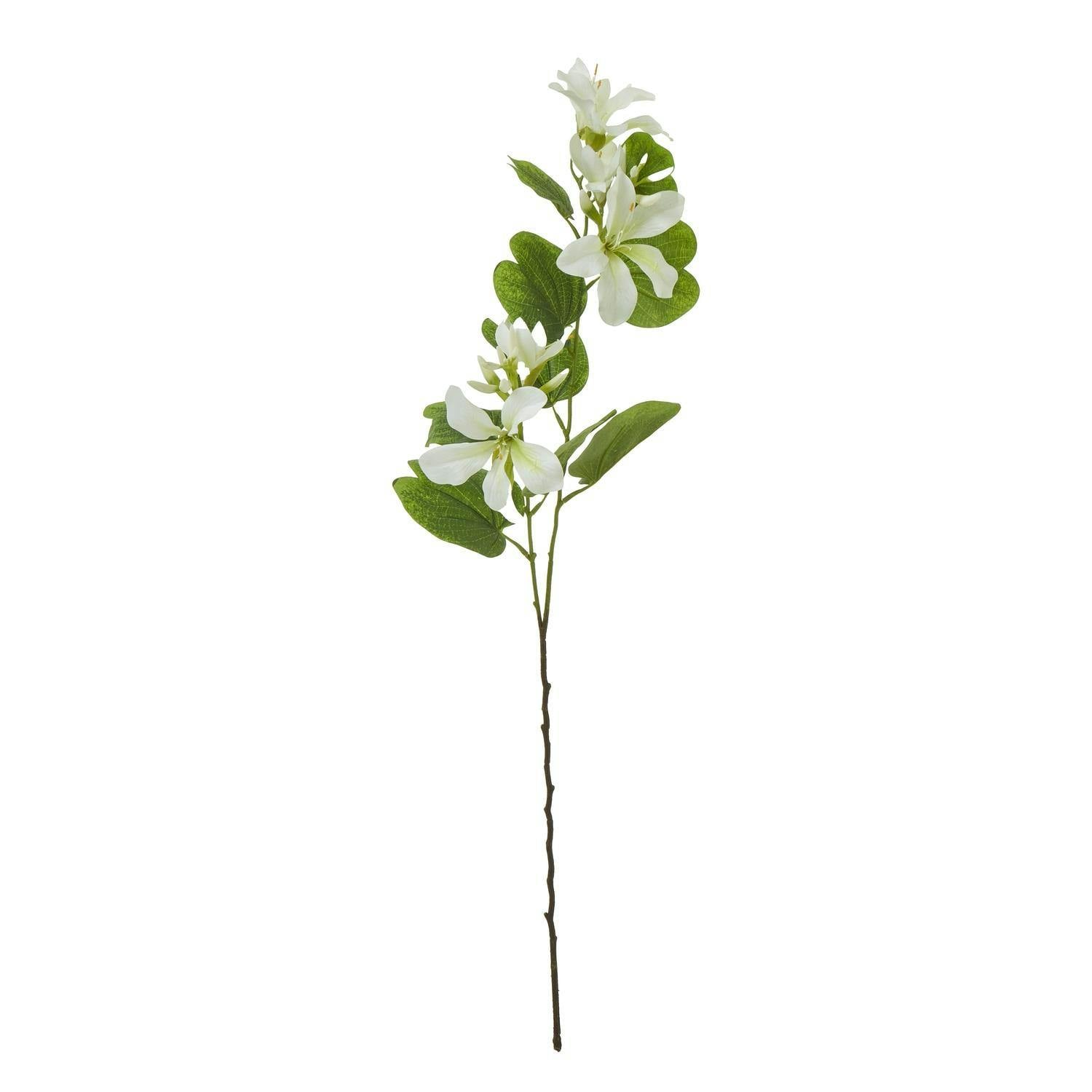 Hill Interiors Cream/Green Bauhinia Orchid Spray Artificial Flower - One Size - 100% Mixed