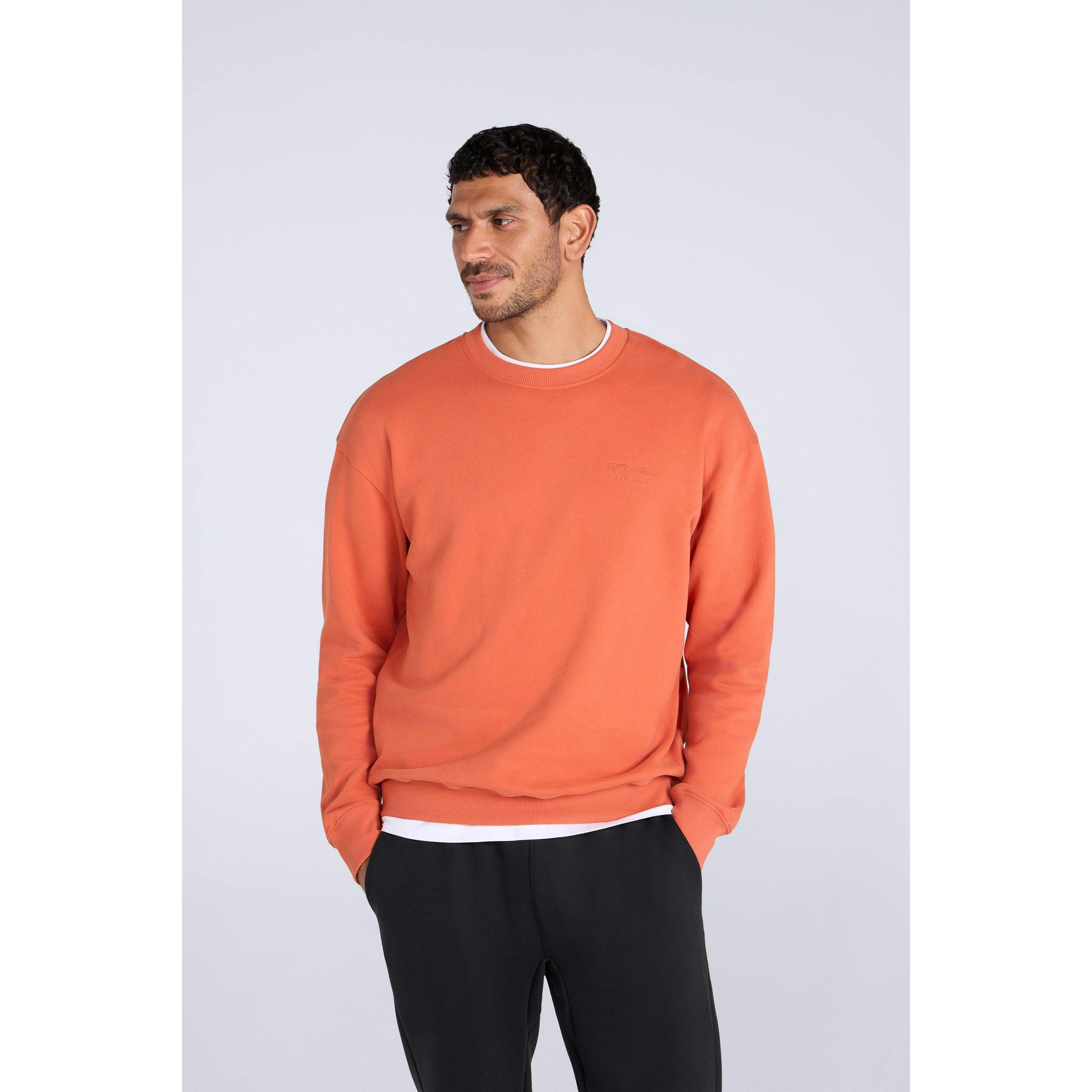 Animal Men's Jonah Organic Sweatshirt - Rust - Xs - Rust - 100% Mixed