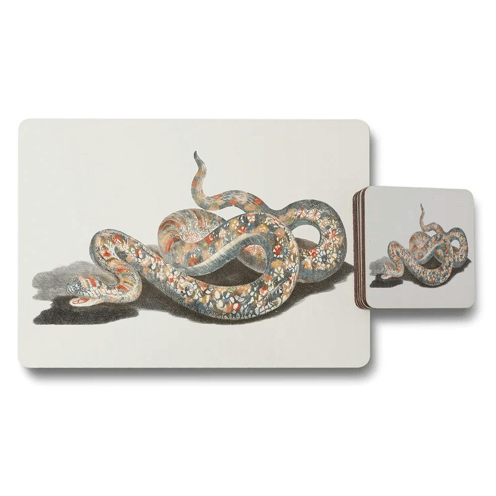 Rackhams Snake Themed Placemat And Coaster Set With Artwork Print