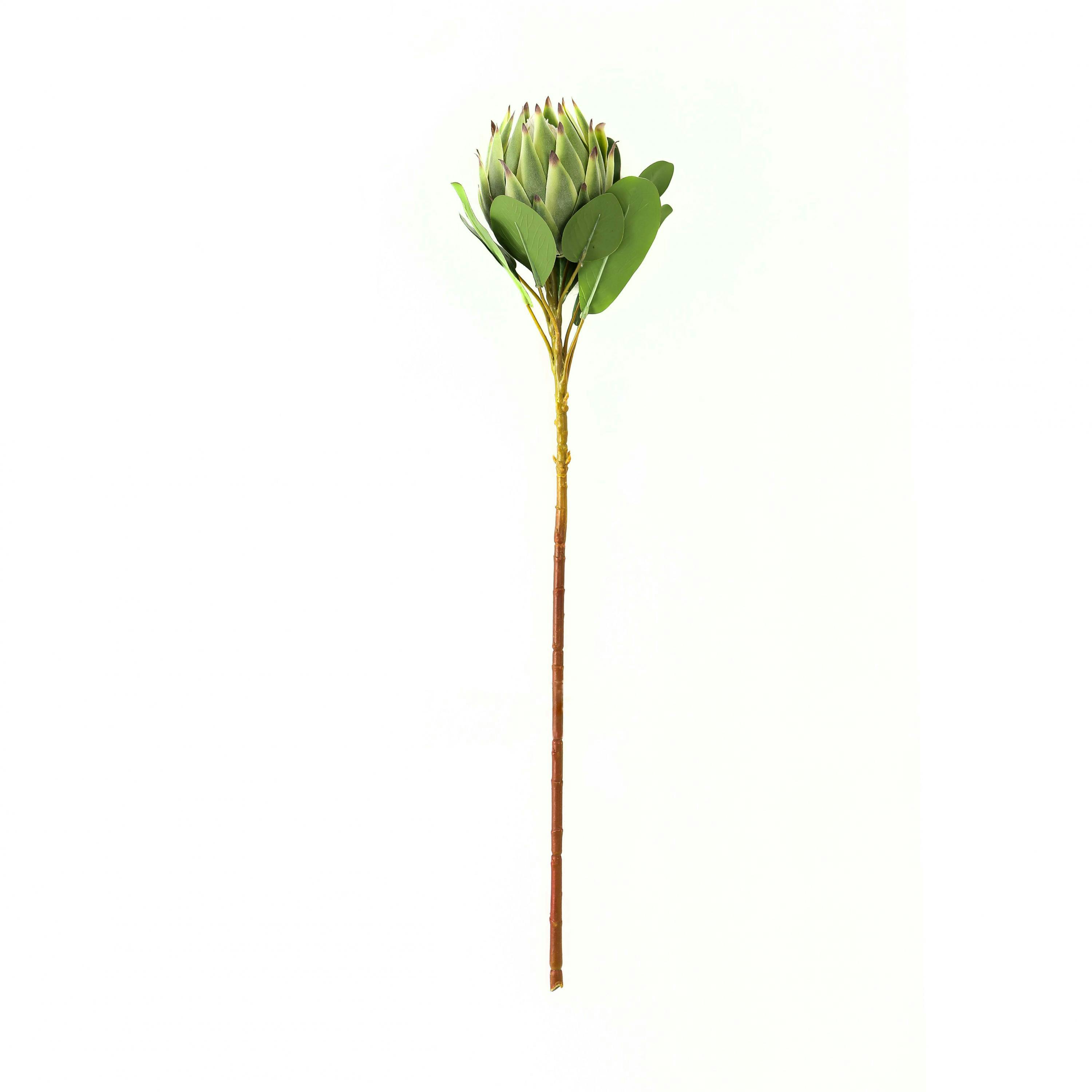 Hill Interiors Green Protea Protea Artificial Flower - One Size