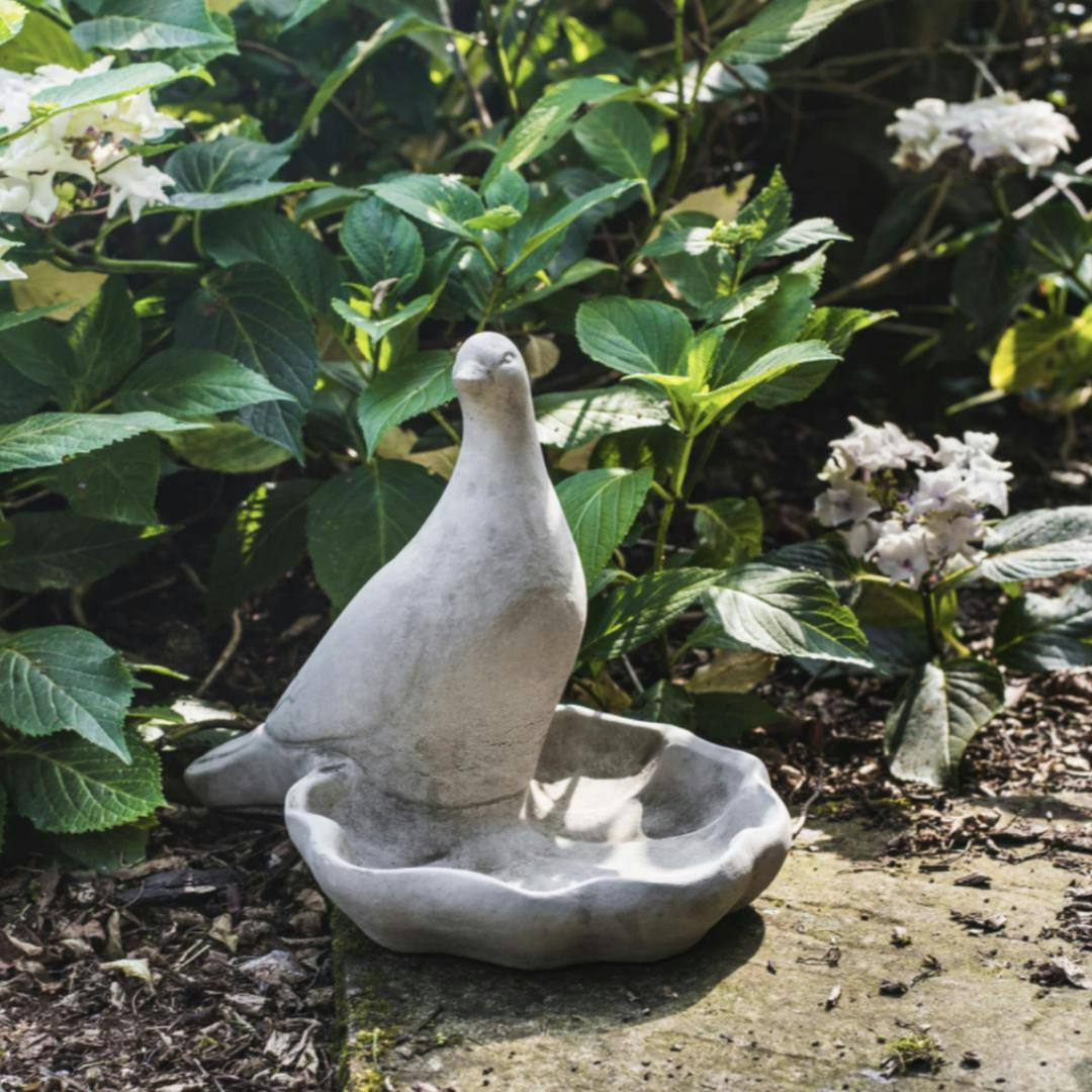 Osn Floor Level Birdbath With Perching Pigeon / Bird Feeder